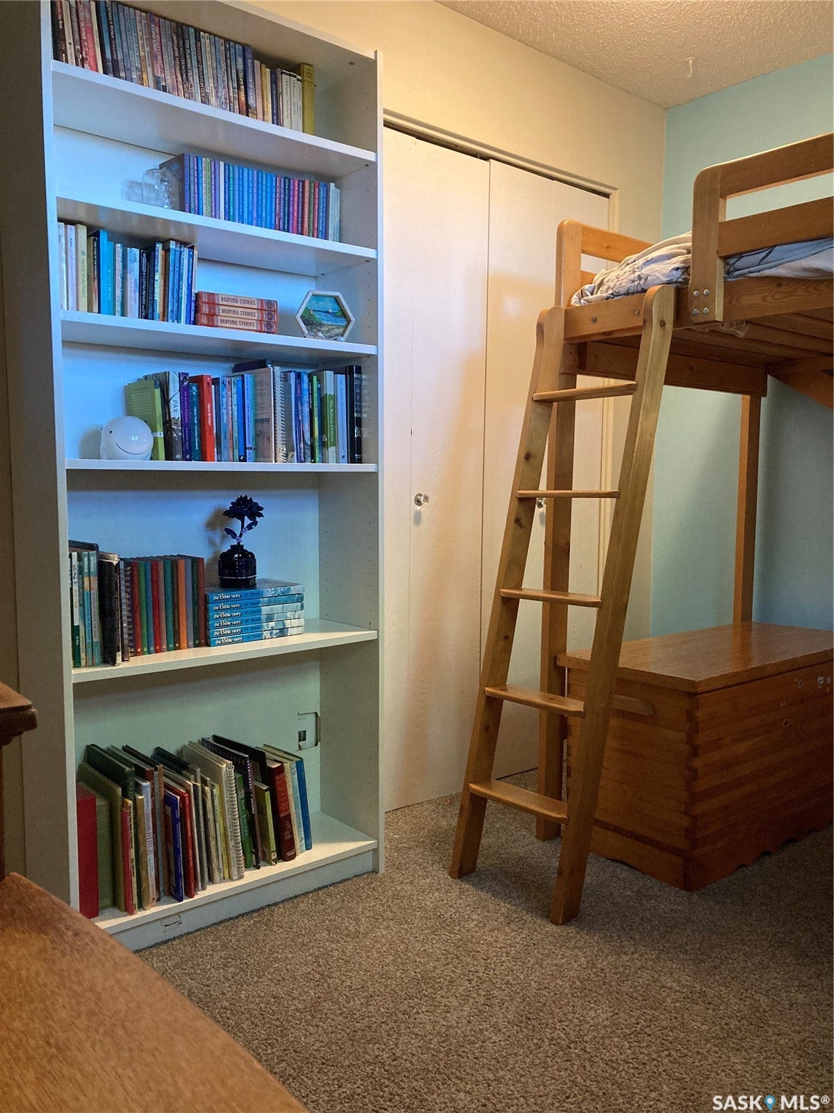 Built-in shelving unit, light wood-tone bunk bed with ladder, and carpeted flooring