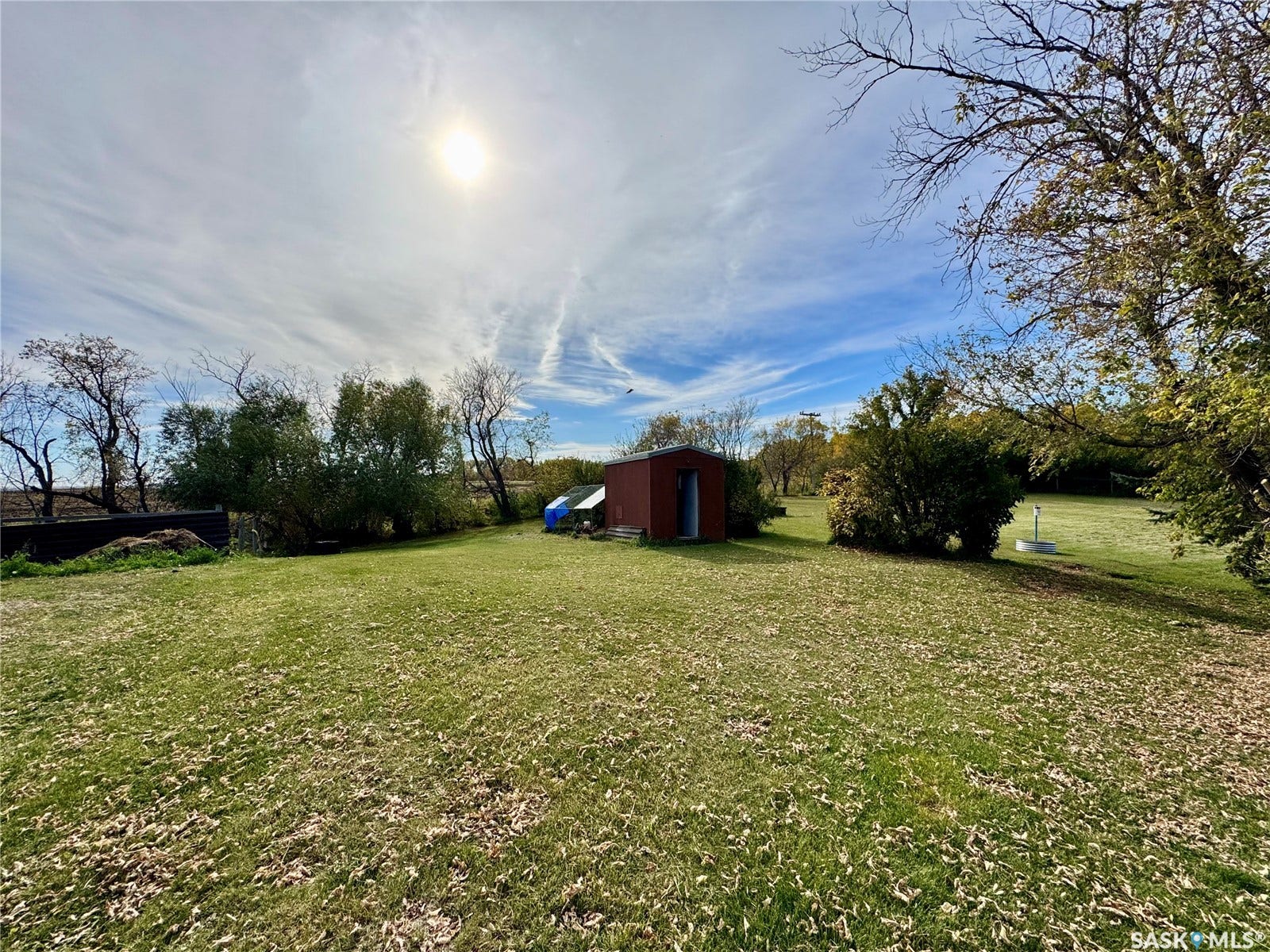 Expansive grassy yard with a storage shed and mature trees