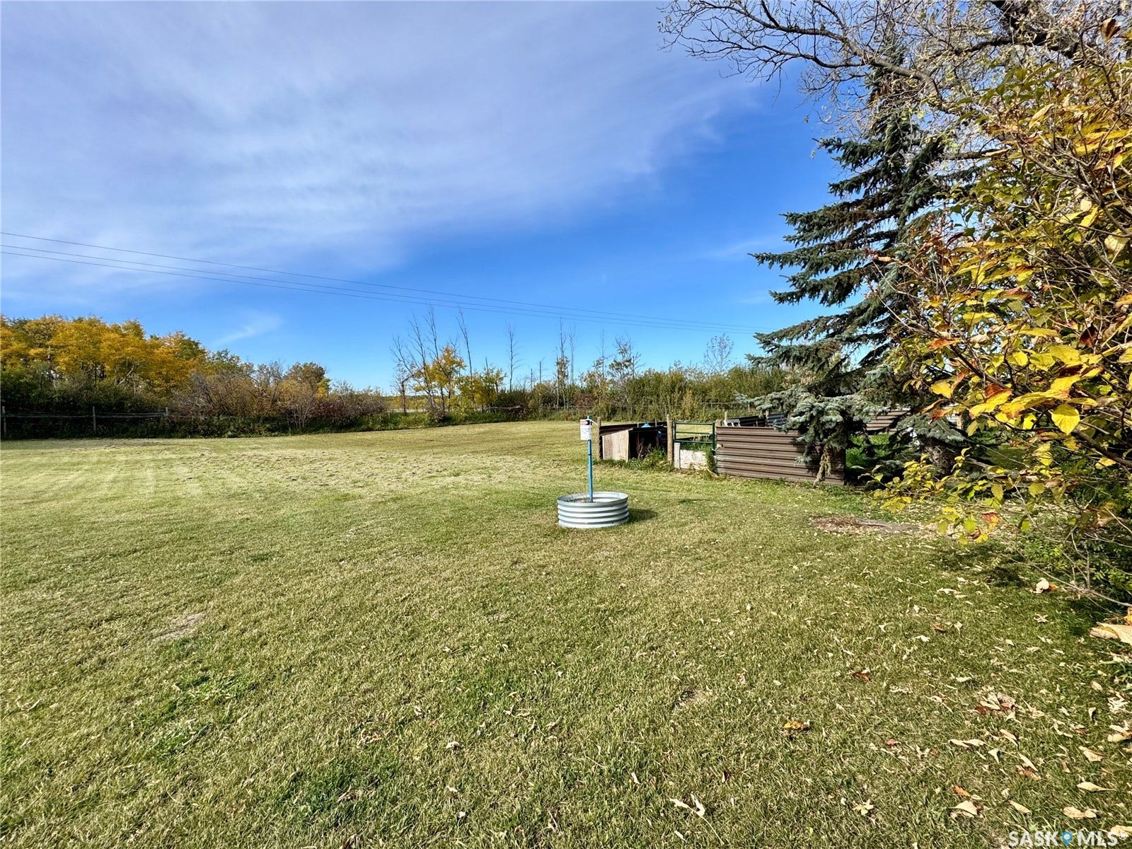 Expansive grassy area with mature evergreen trees and vibrant deciduous foliage