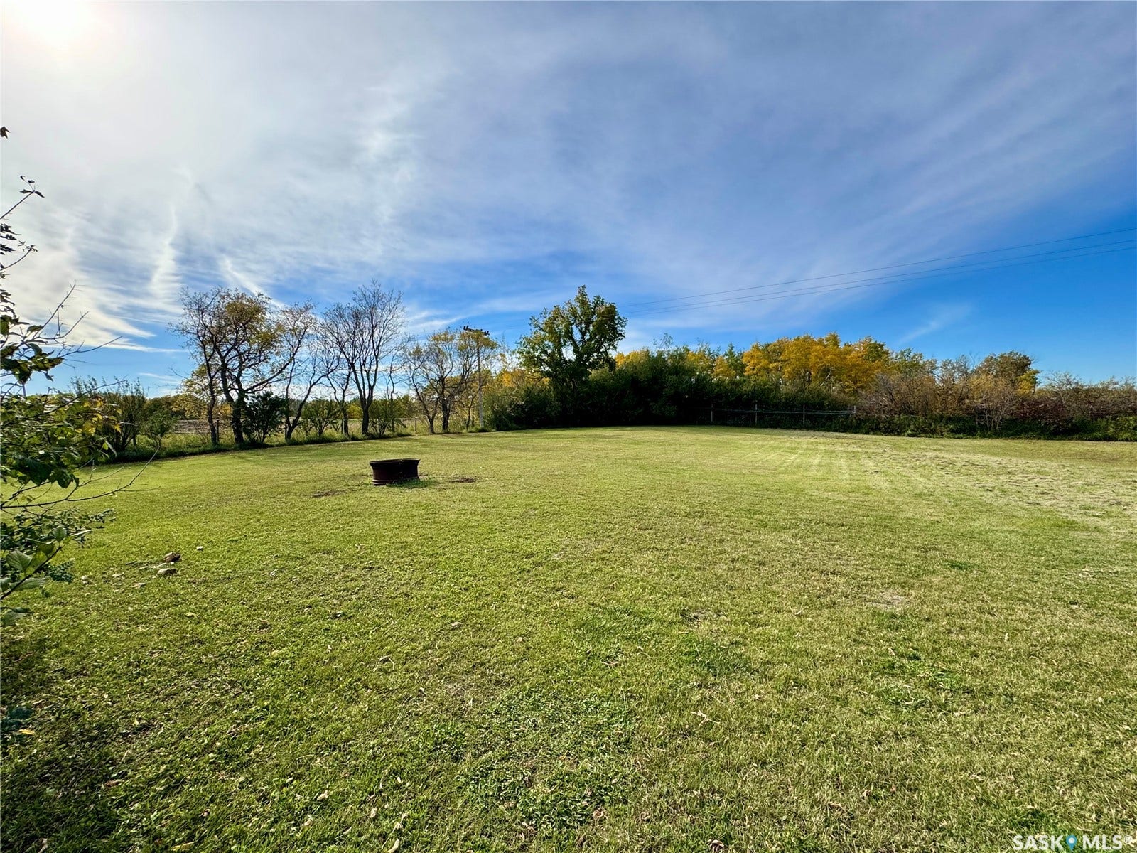 Expansive green space featuring a treelined perimeter and open sky