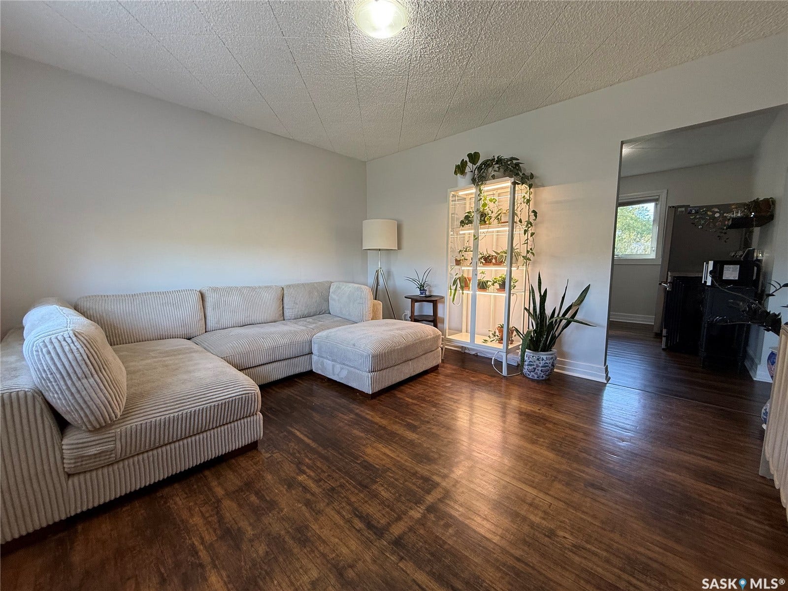 Hardwood flooring, light-toned wall paint, and a ceiling light fixture