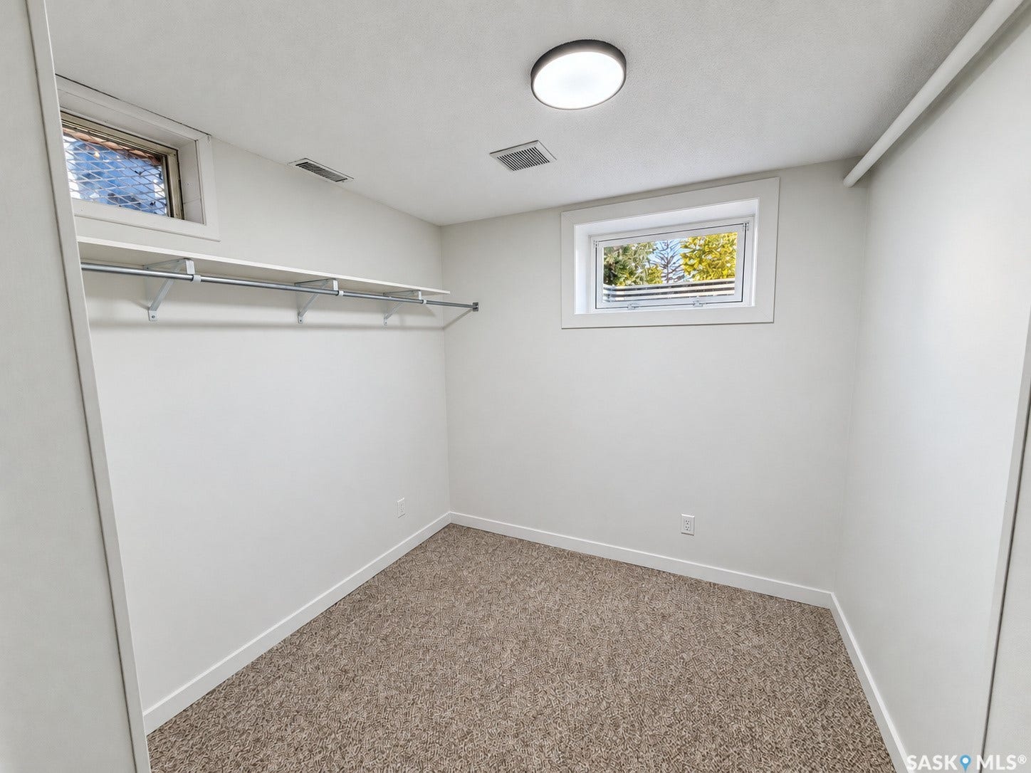 Carpeted flooring, built-in shelving, two windows, and a flush mount ceiling light