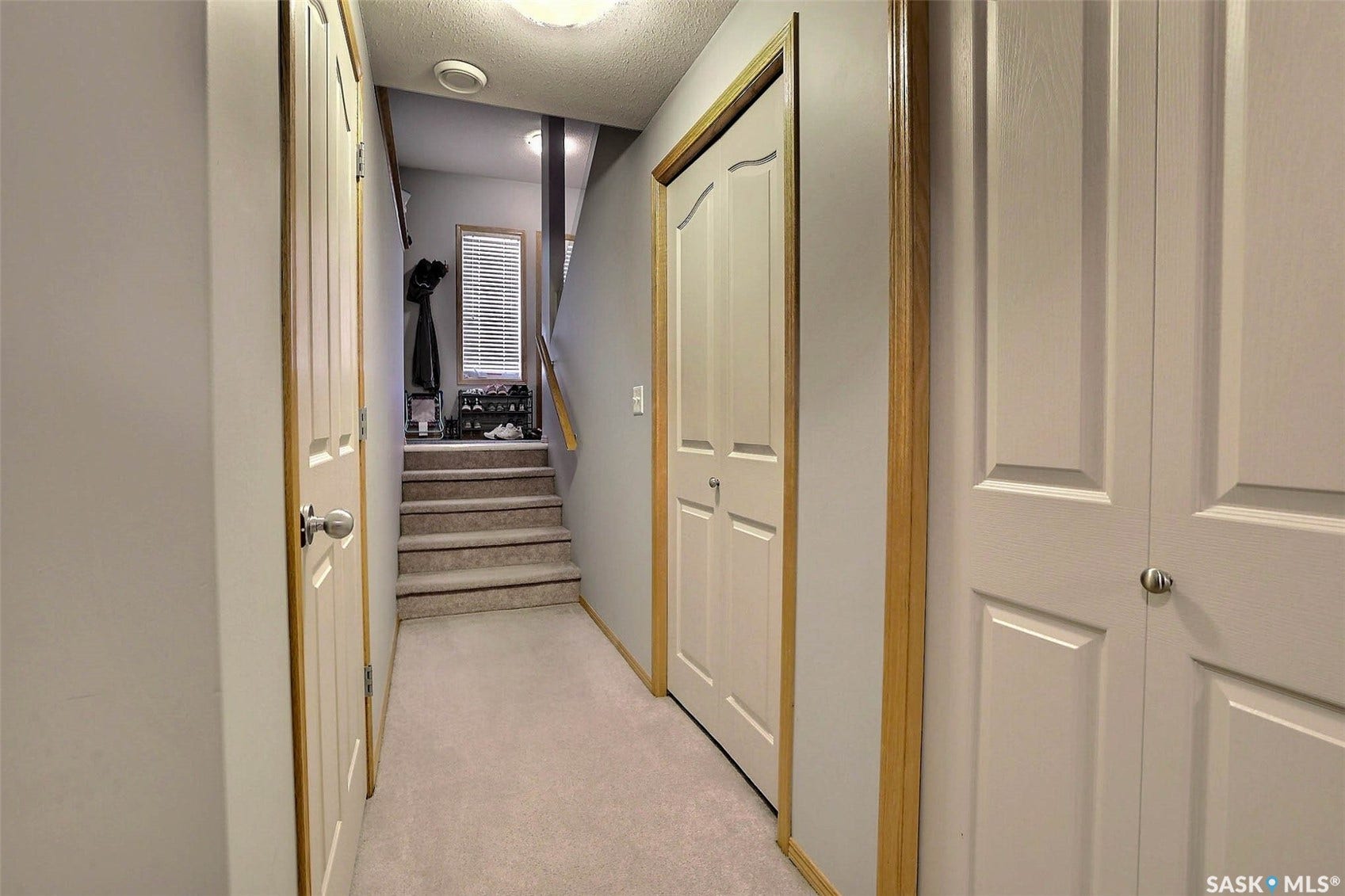 Carpeted hallway with painted walls, multiple doors, and wood-finish trim
