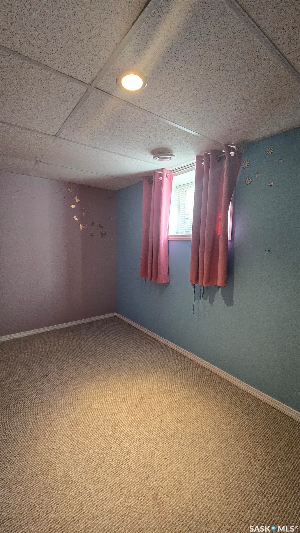 Carpeted flooring, drop ceiling with recessed lighting, and a single window