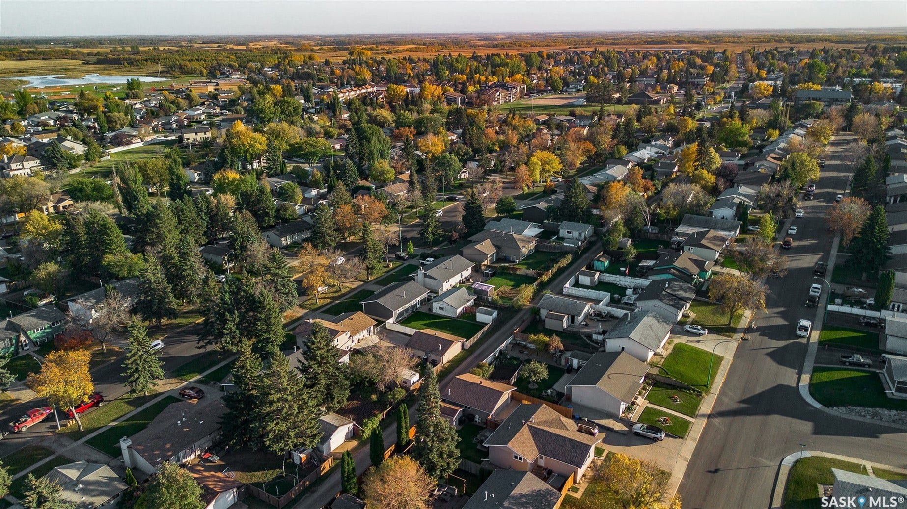 Residential neighborhood with mature trees and established homes