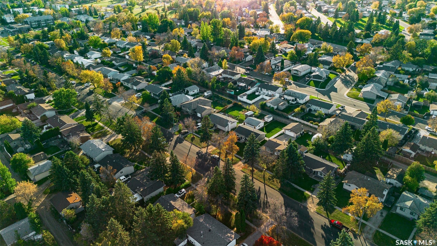 Residential neighborhood featuring mature trees and paved streets