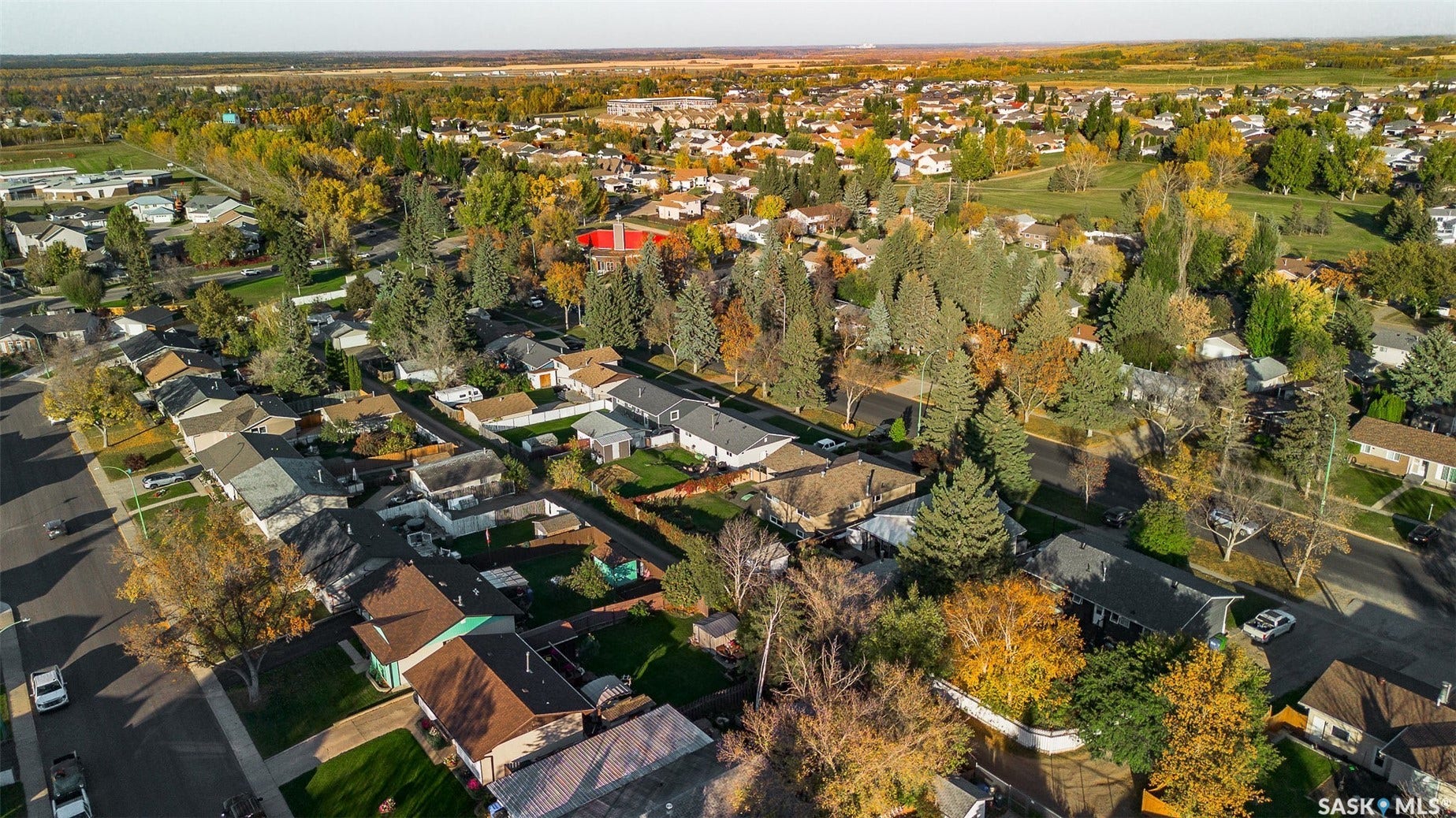 Residential neighborhood with mature trees, established streets, and varied architectural styles