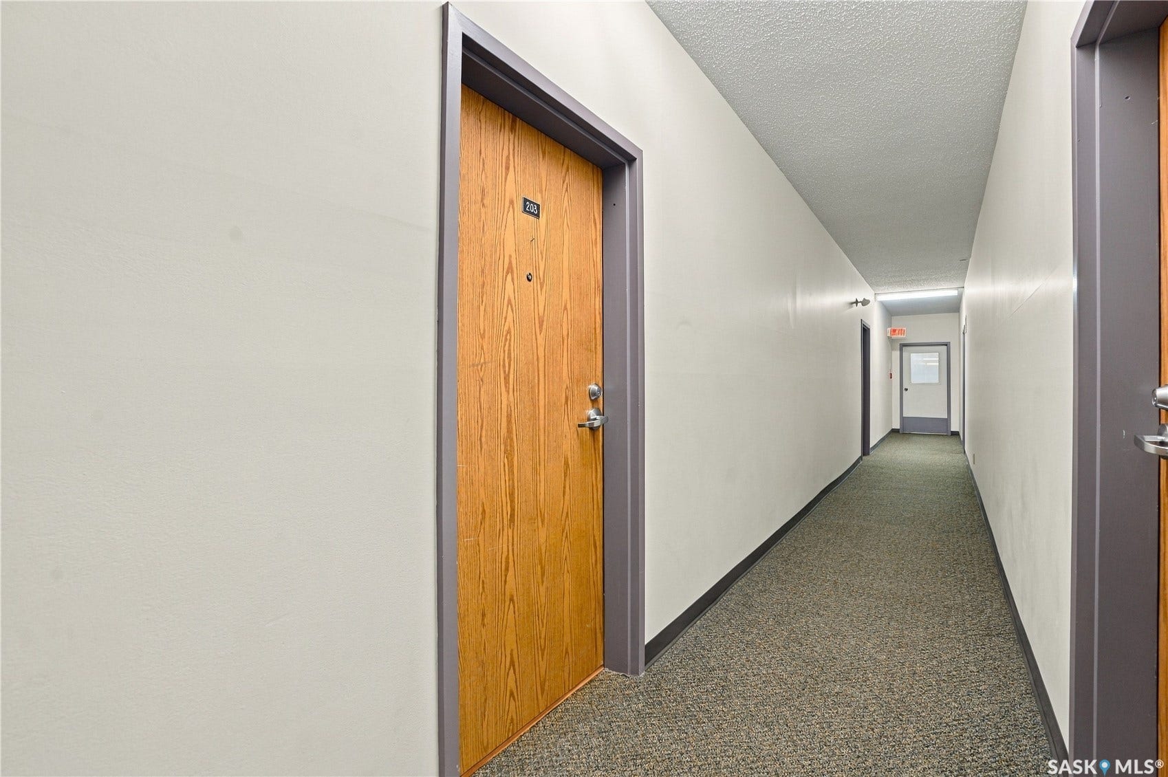Hallway with textured carpet flooring, light-toned walls, and wood-finish doors with dark trim