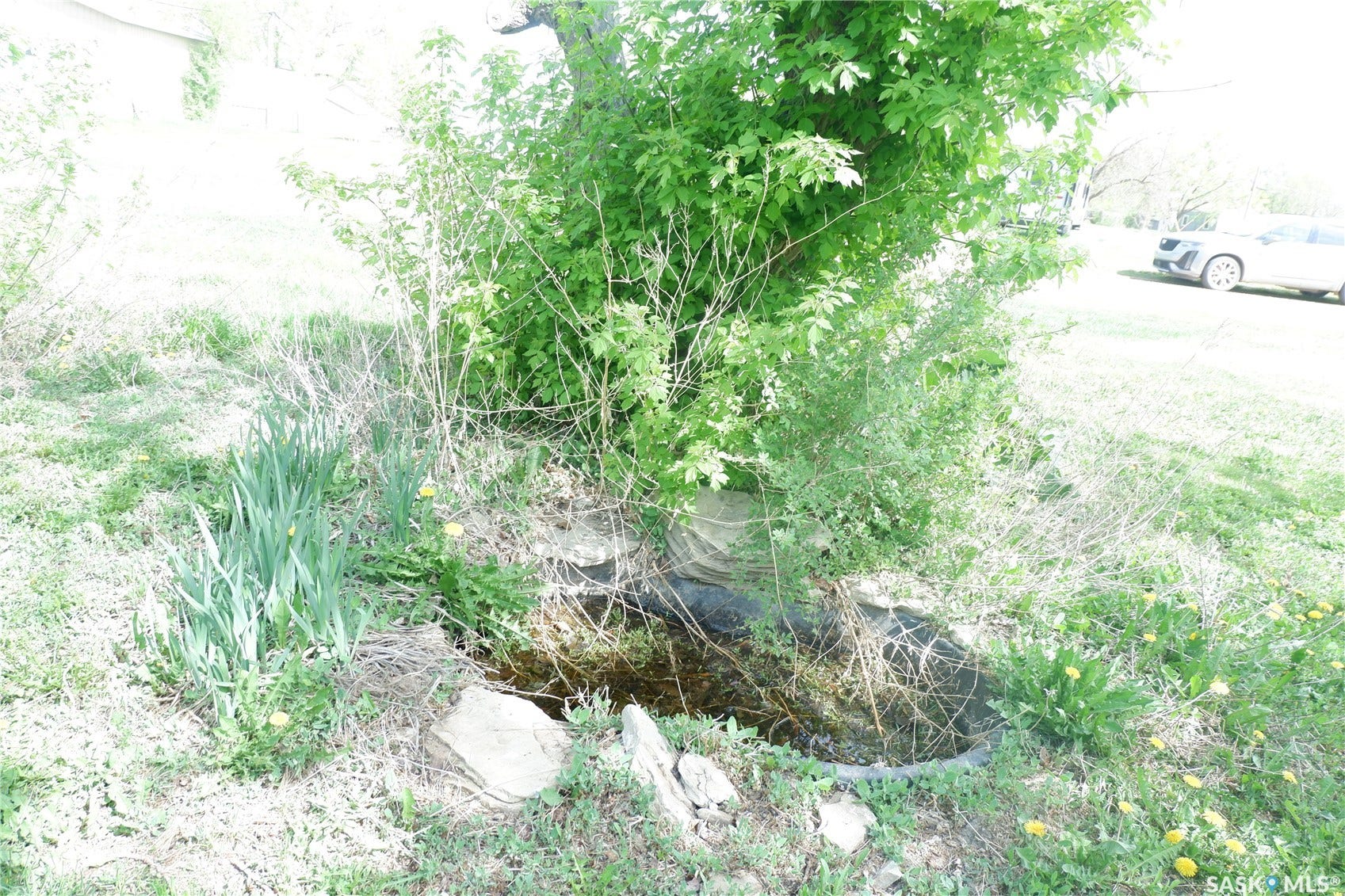 View of undeveloped land
