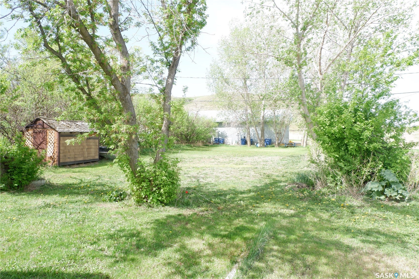 View of grassy yard with a storage shed and an outbuilding