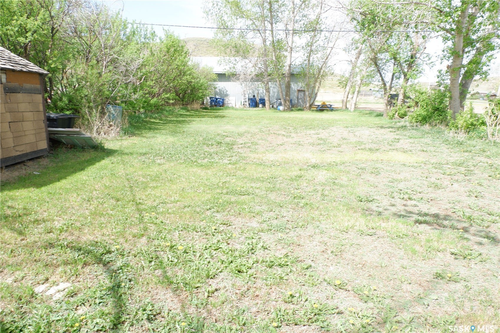 View of grassy yard