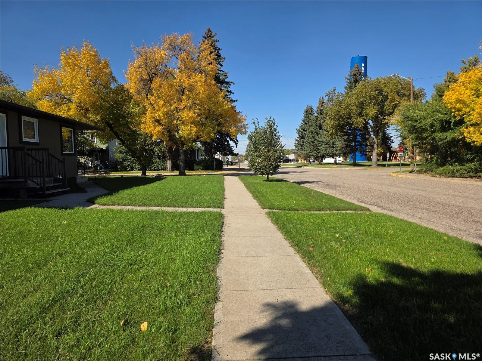 Manicured front yard with mature trees and a concrete sidewalk