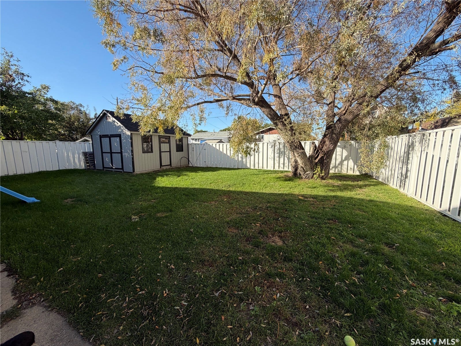 Expansive backyard featuring a manicured lawn, established shade tree, and white privacy fencing