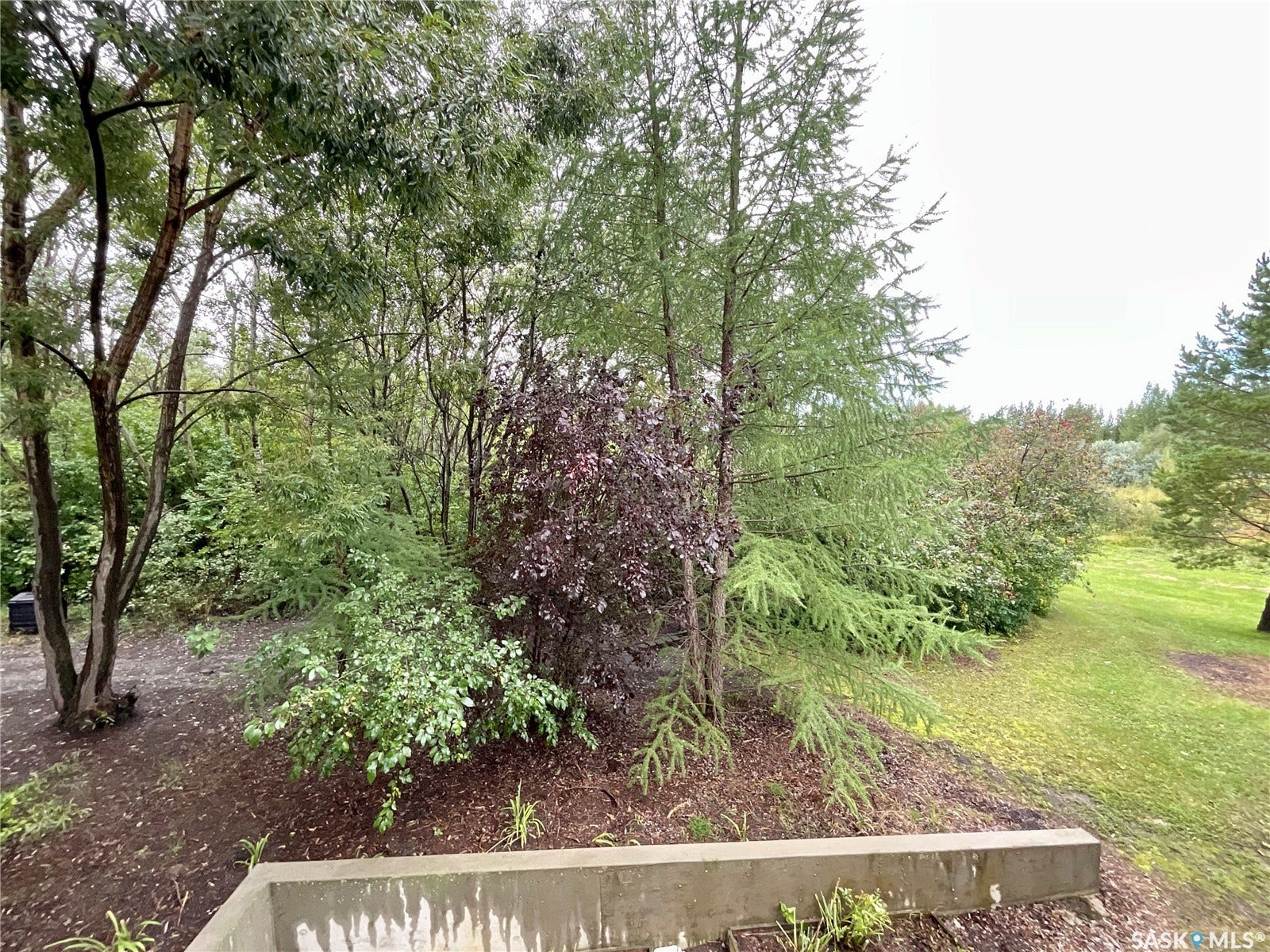 1 Pompano Bay, Pilot Butte SK S4L 1B7