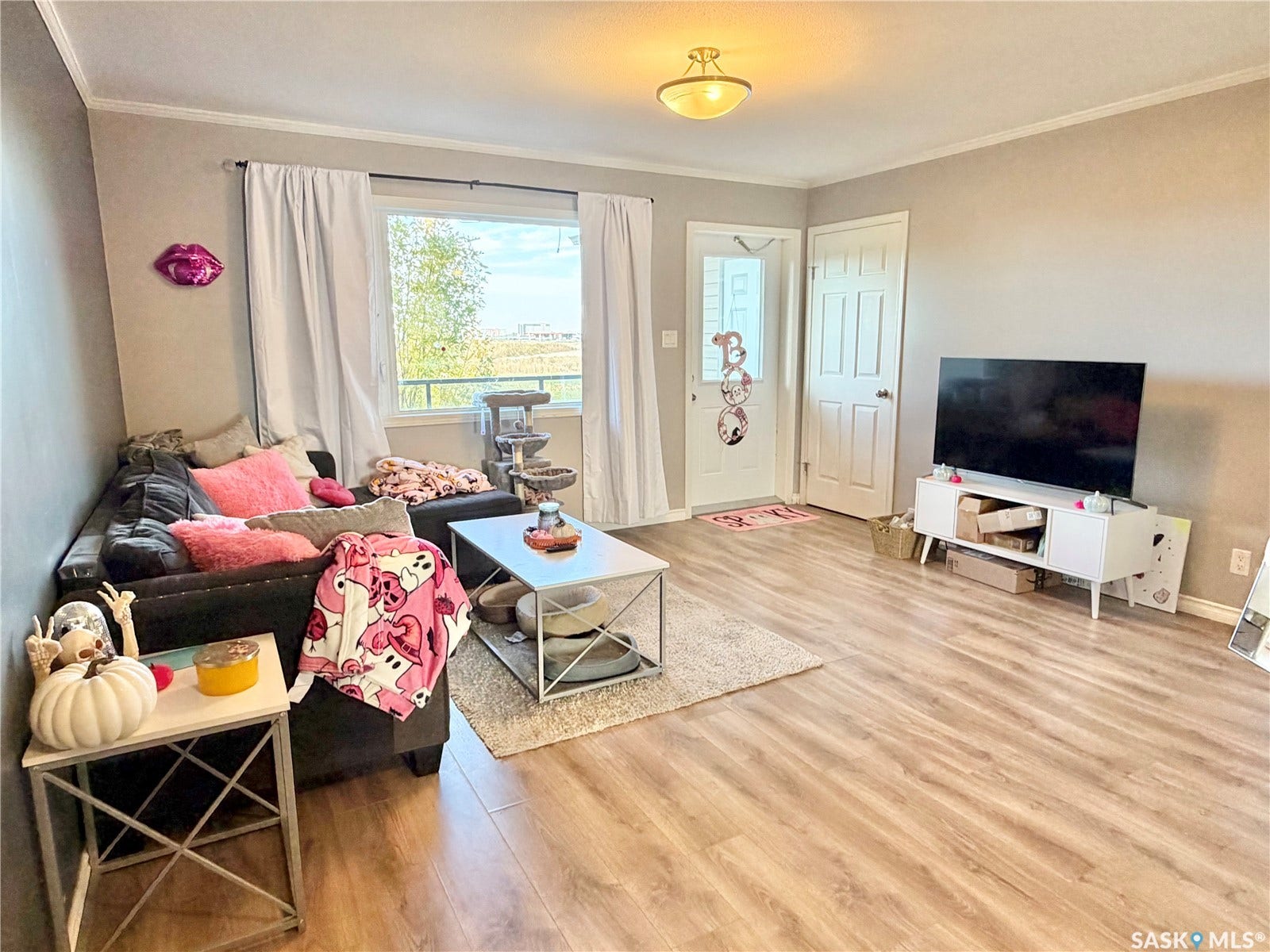 Wood-finish flooring throughout, bright window with outdoor scenery, ceiling-mounted light fixture, crown molding, and a solid entry door with a frosted glass insert