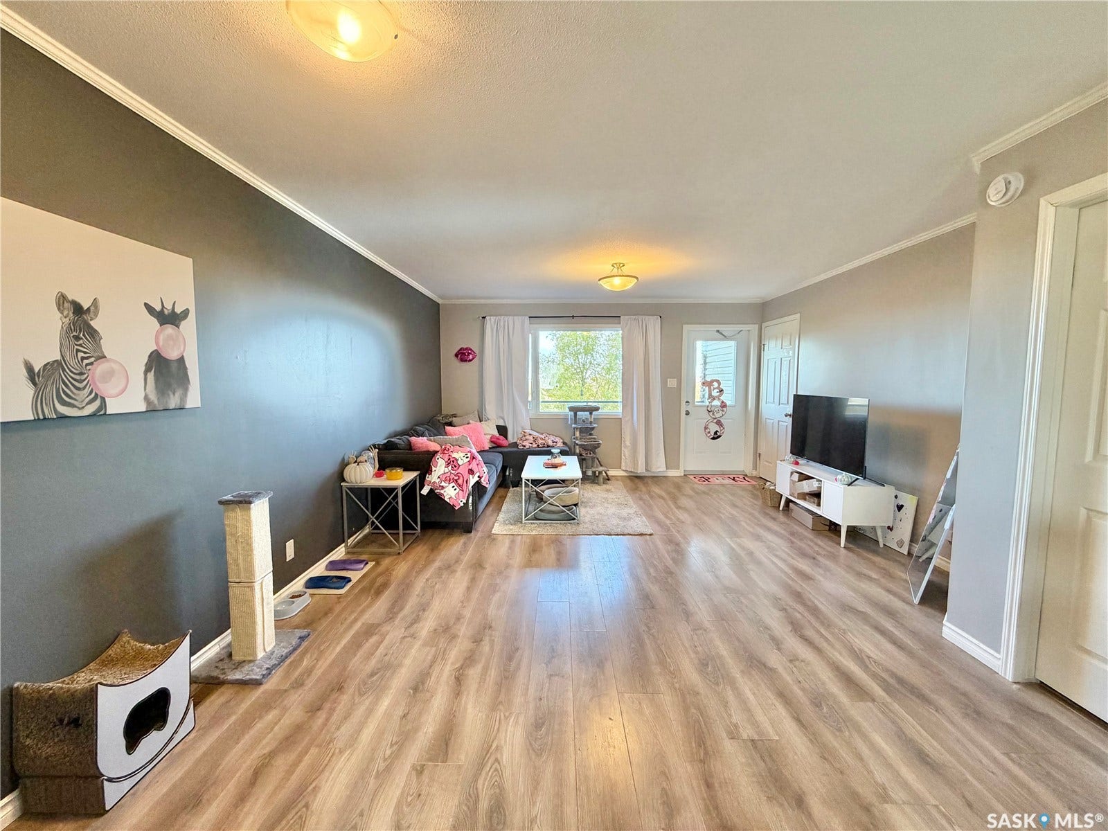 Spacious room featuring wood-finish flooring, light grey walls, white trim, and two flush mount ceiling light fixtures