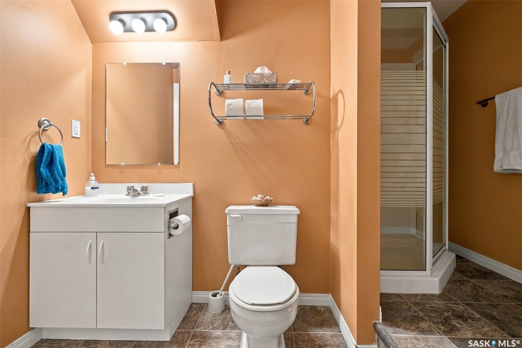 Bathroom in basement