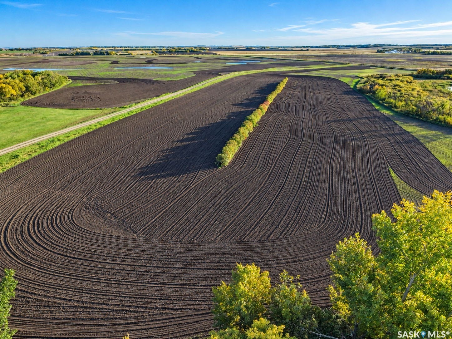 Expansive tilled agricultural land with distinct rows