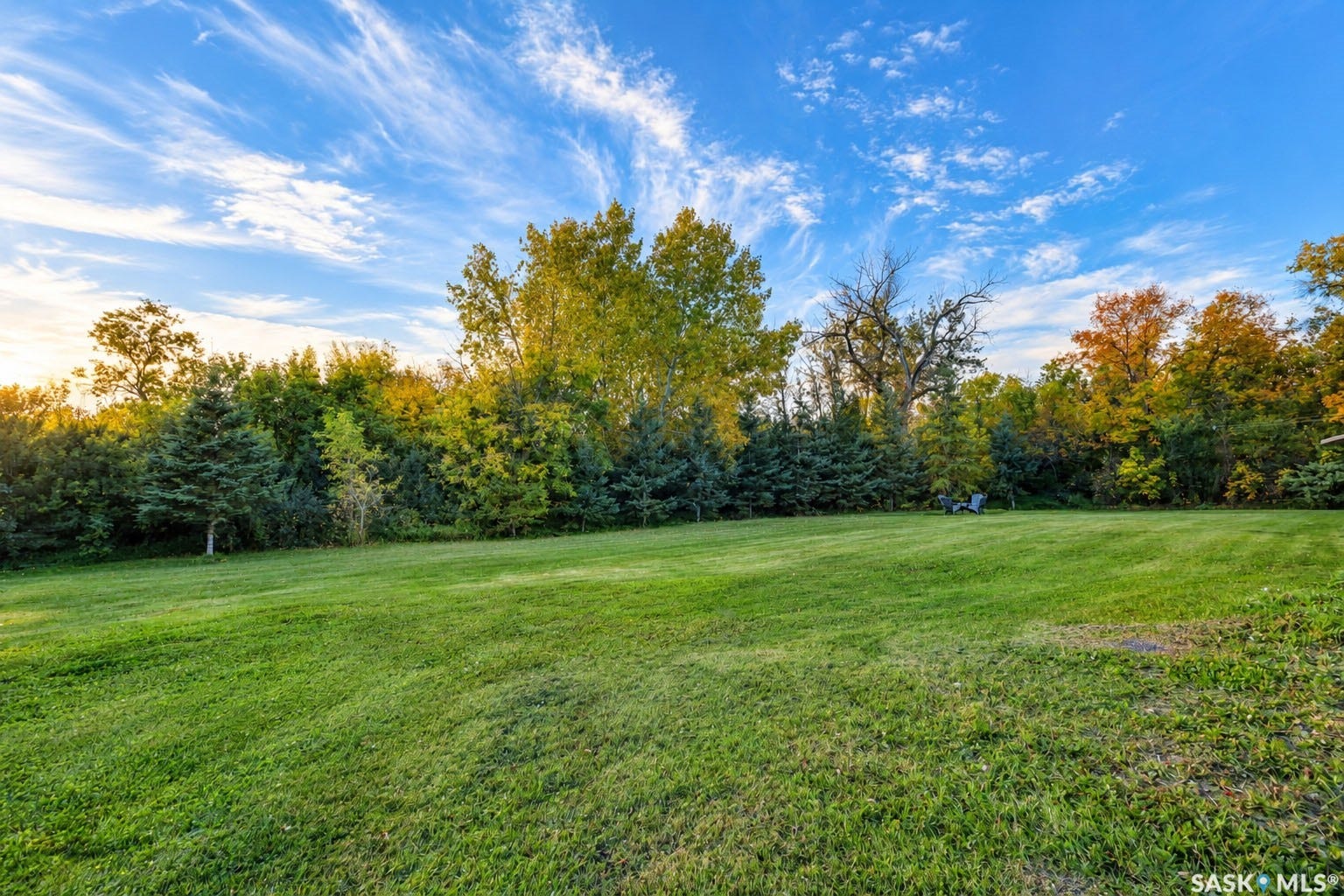 Expansive green lawn surrounded by mature trees and varied foliage