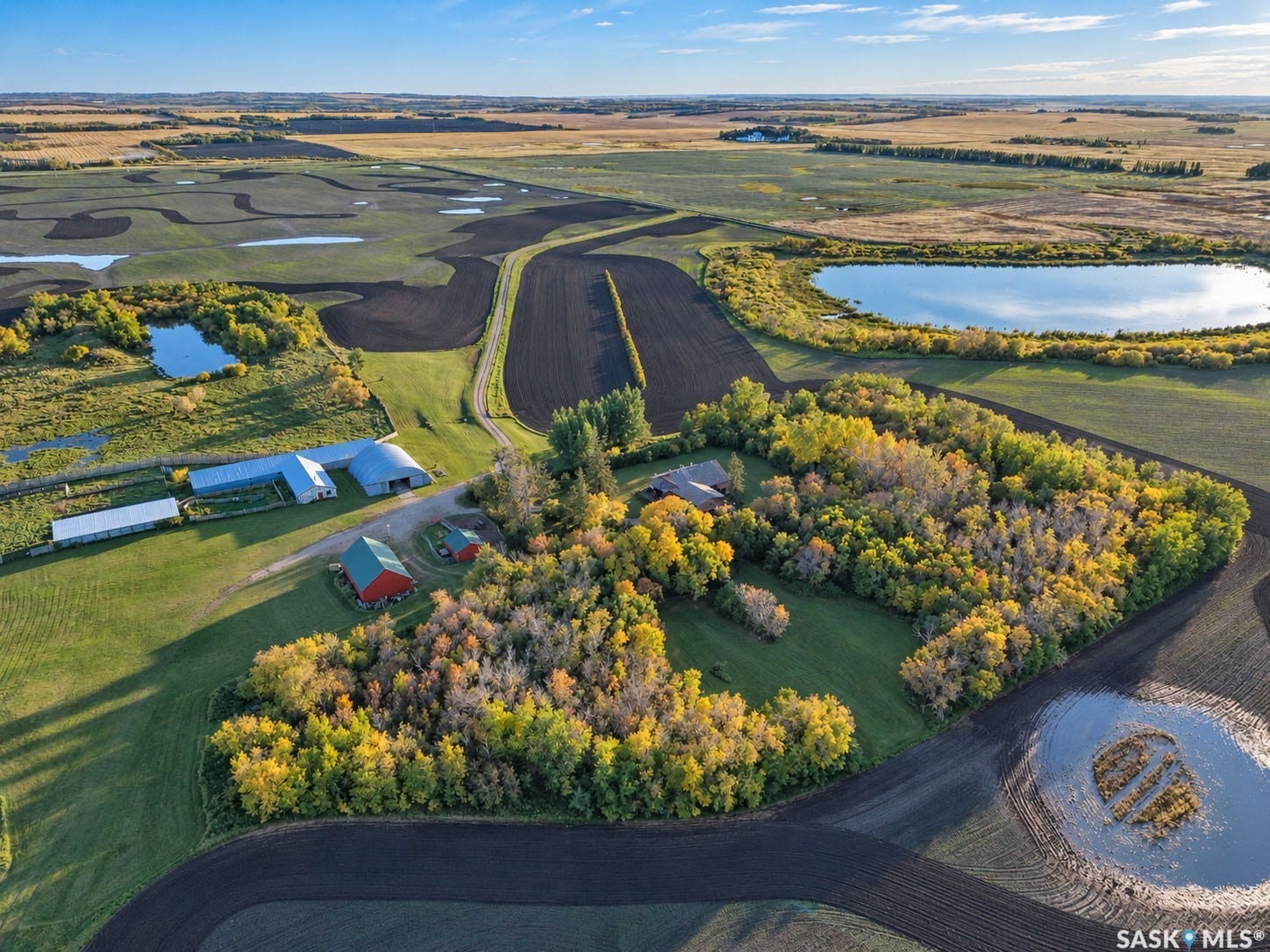 Expansive agricultural property featuring multiple outbuildings, mature trees, and natural water features