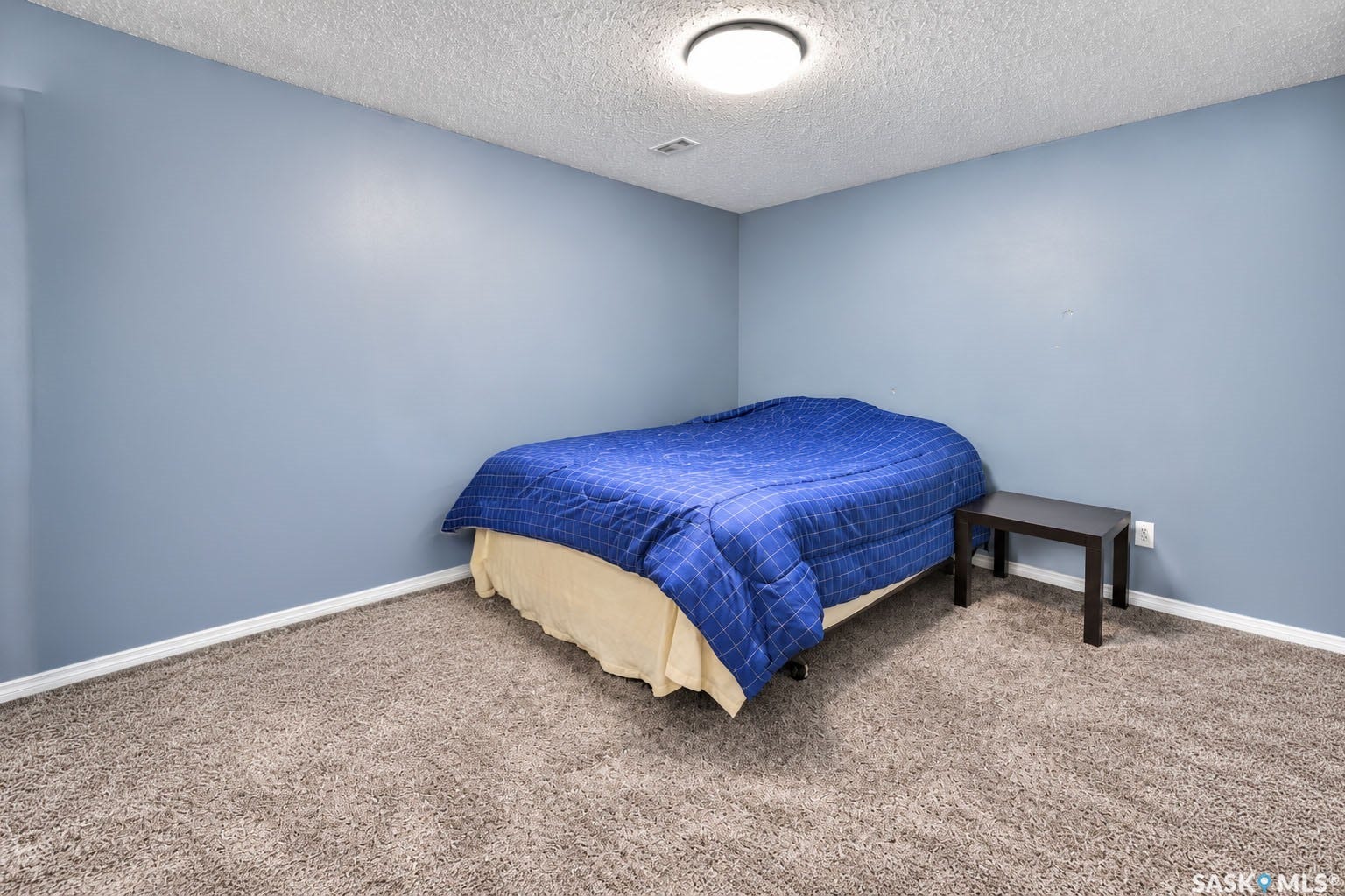 Plush carpet flooring, light blue wall paint, and overhead flush-mount lighting