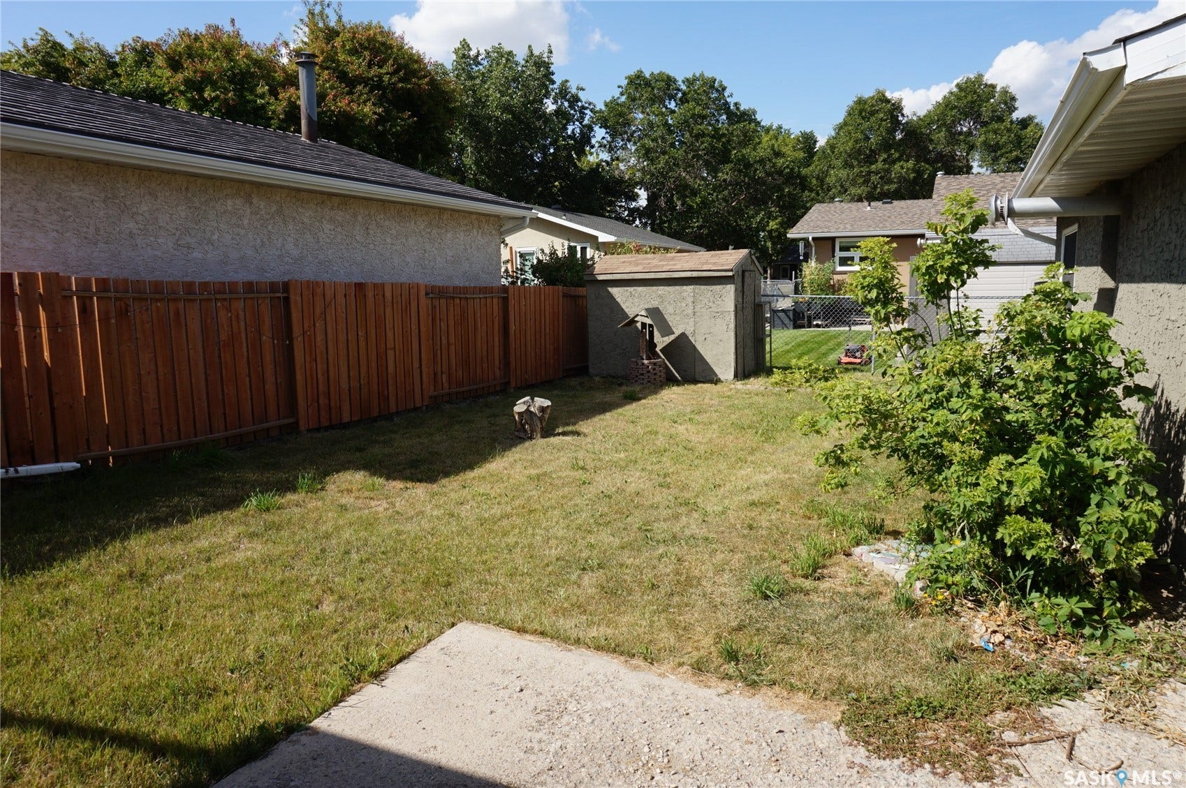 Back yard