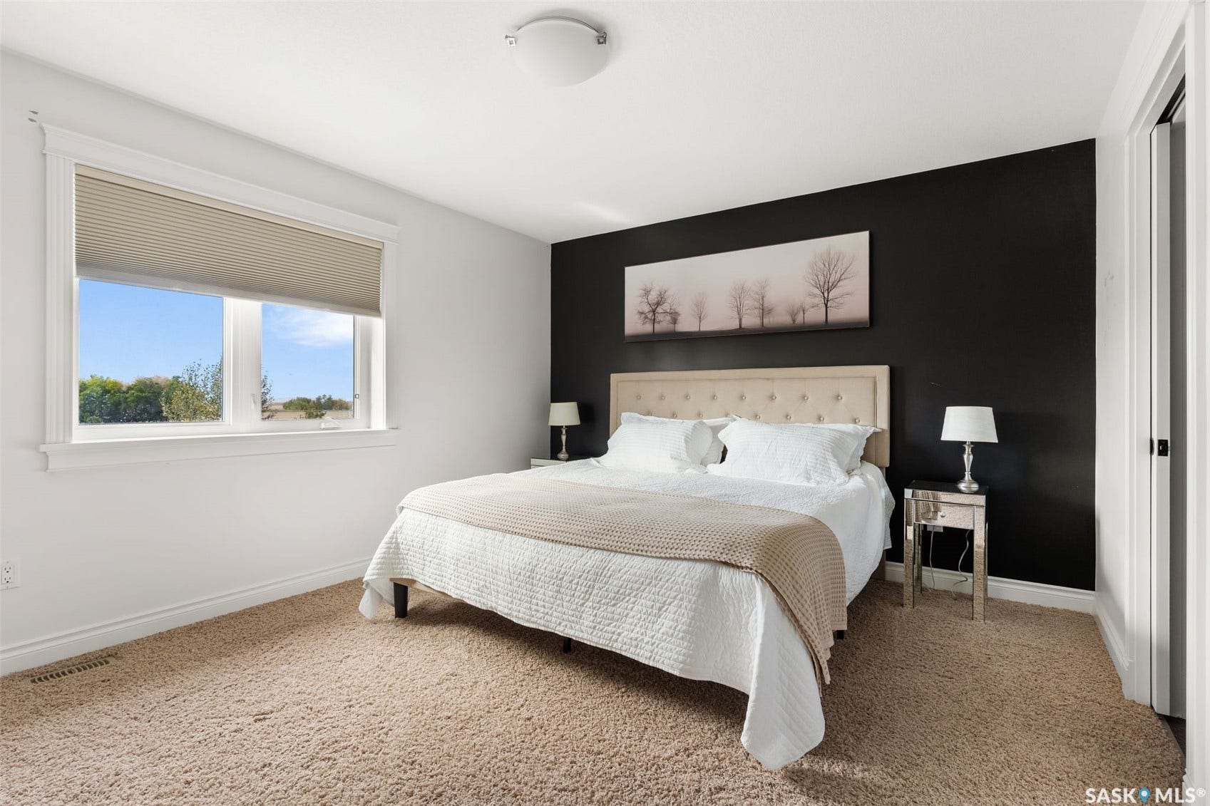 Carpeted flooring, white walls, black accent wall, ceiling-mounted light fixture, white trim