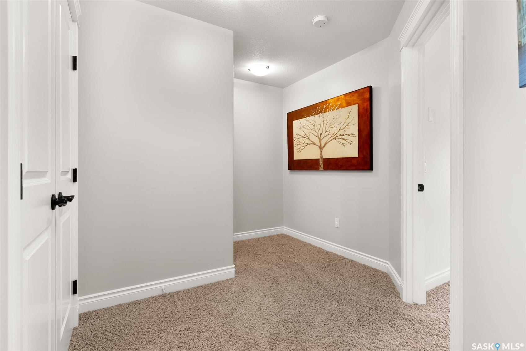 Neutral-toned carpeting throughout, crisp white trim, and a white paneled door with matte black hardware