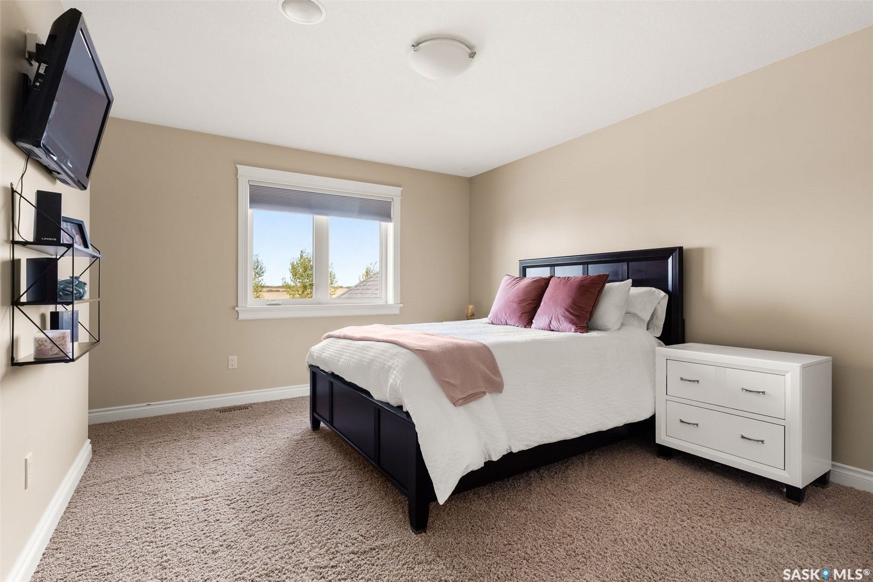 Neutral wall paint, plush carpet flooring, and a window with roller shade