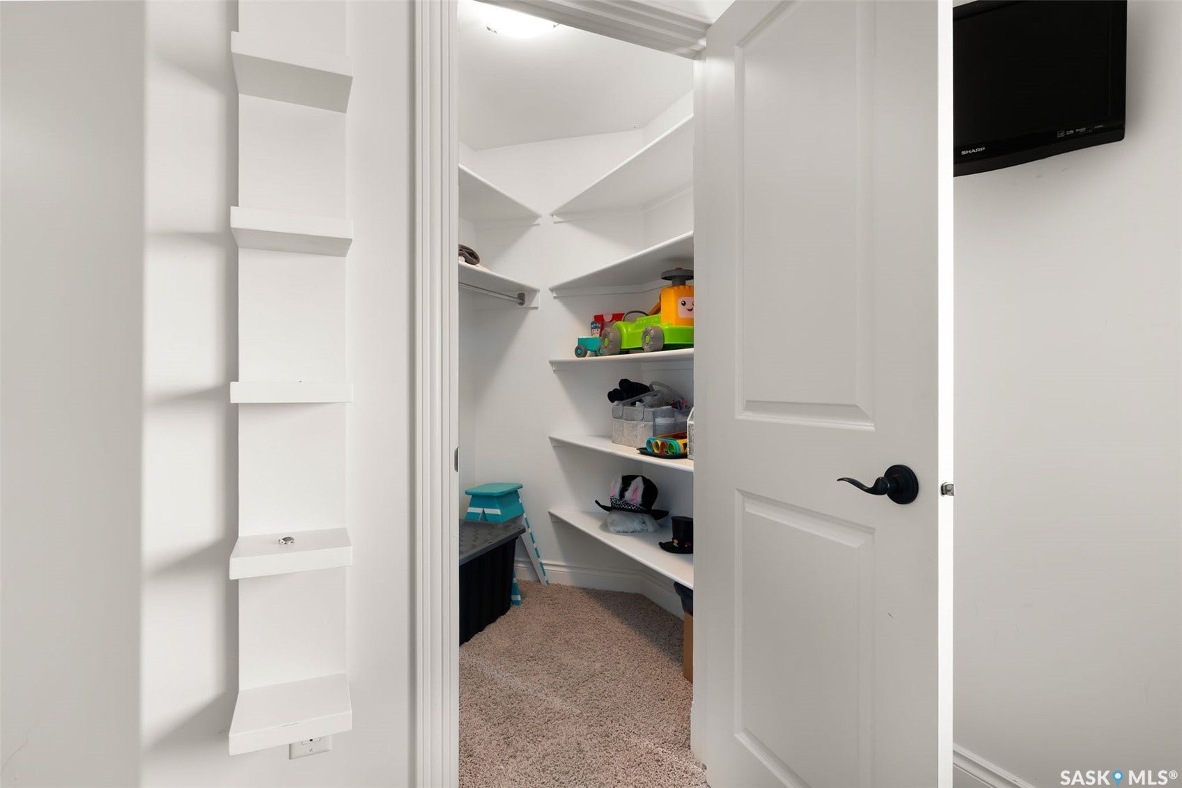 Built-in shelving, white paneled door with black hardware, carpeted flooring, corner shelving units, and a built-in wall television mount