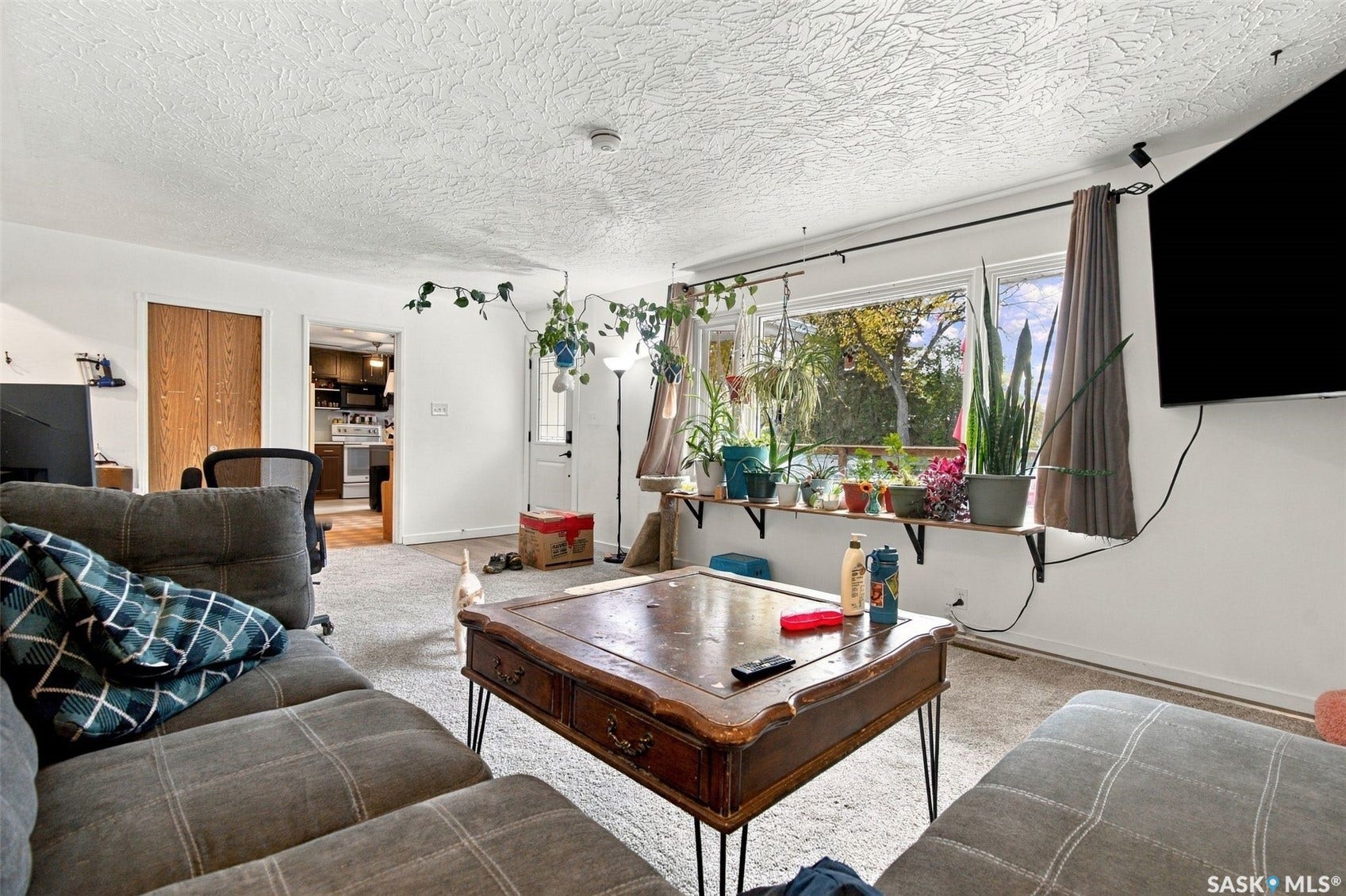 Carpeted flooring, white walls, and a built-in window shelf