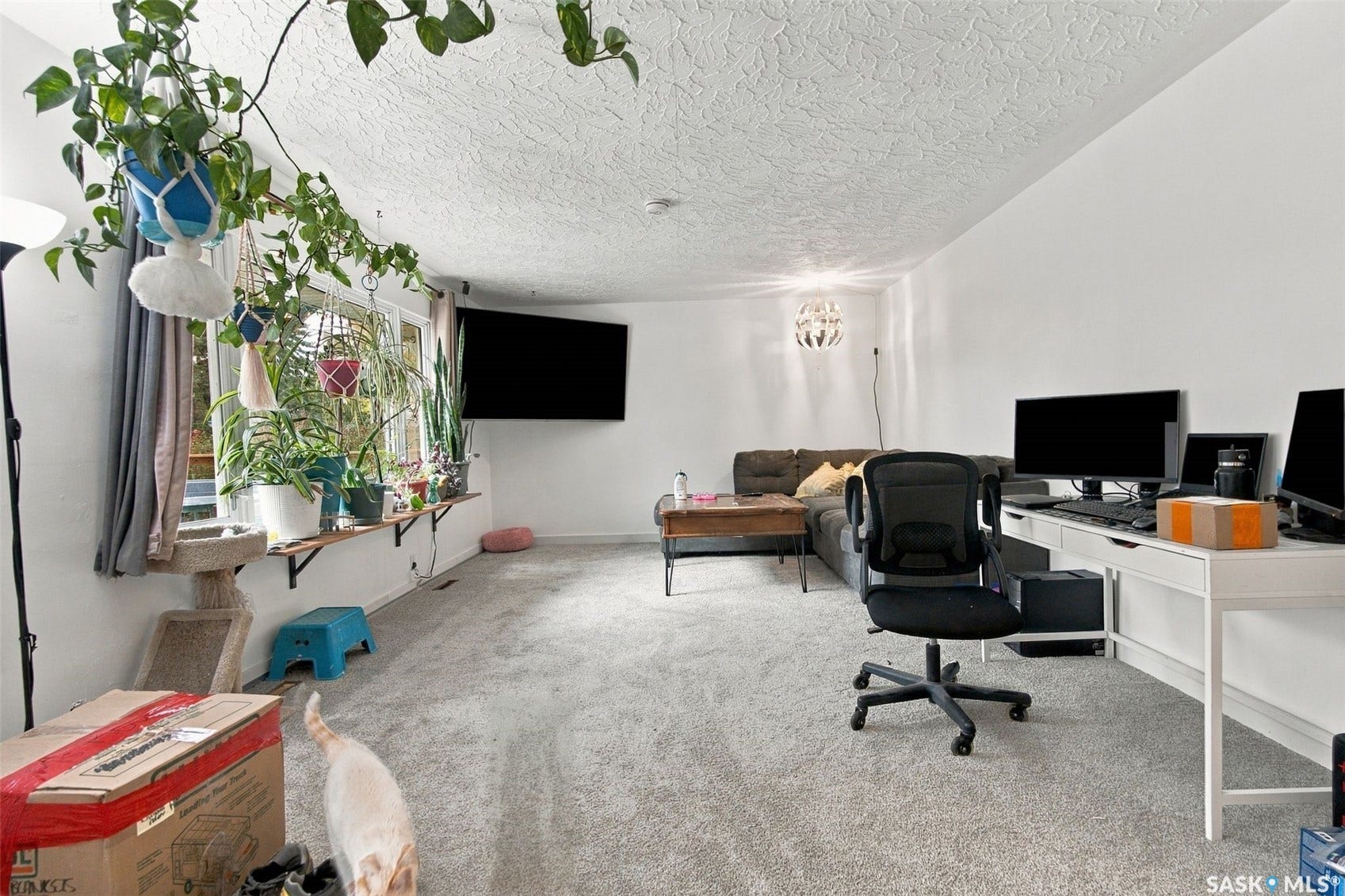 Recessed window with built-in shelving, white walls, textured ceiling, and light-toned carpet