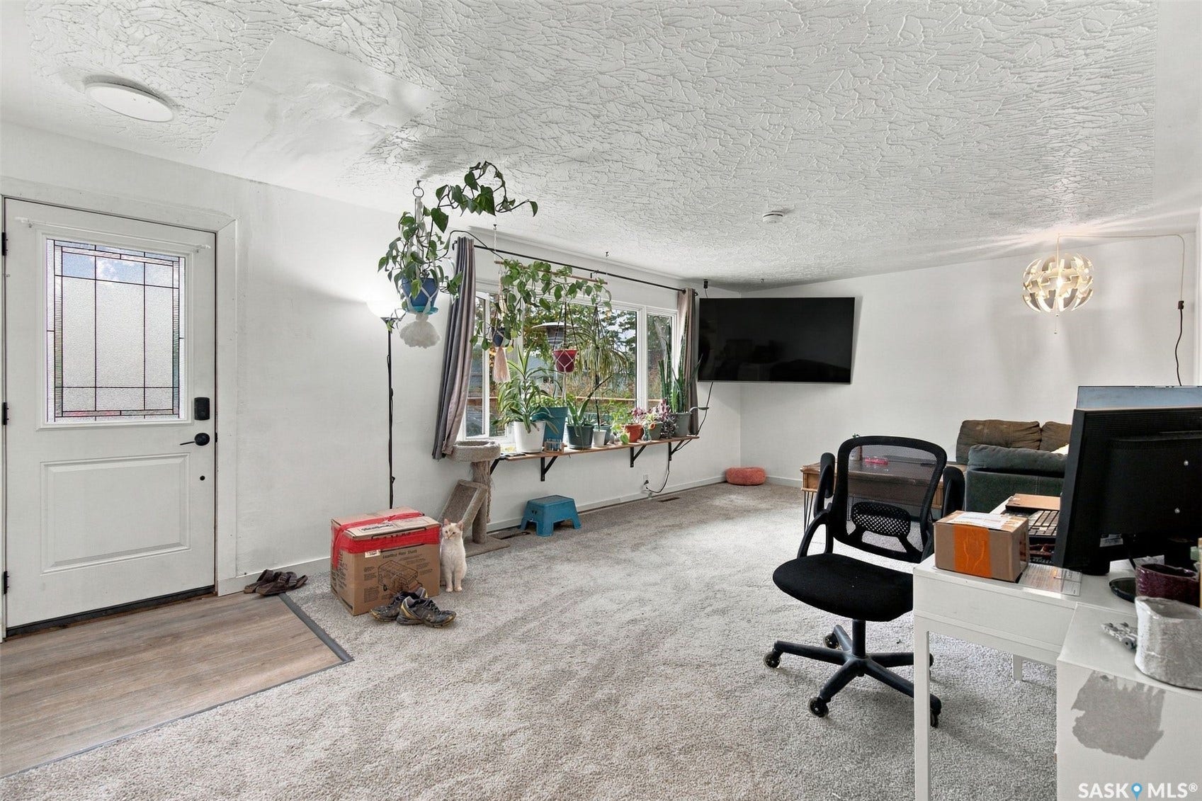 Entry door with decorative glass inserts, wood-finish flooring, wall-to-wall carpeting, and a large picture window
