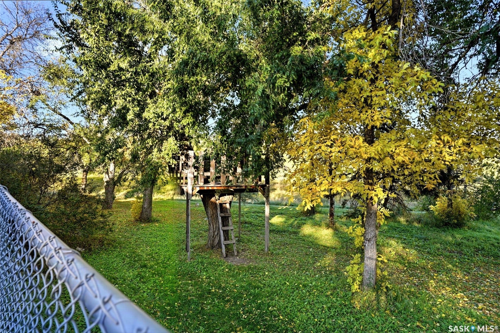 3361 Wascana Street, Regina SK S4S 2H2 Expansive green space featuring a tree-mounted platform structure with a ladder and railing, surrounded by mature trees with varied foliage