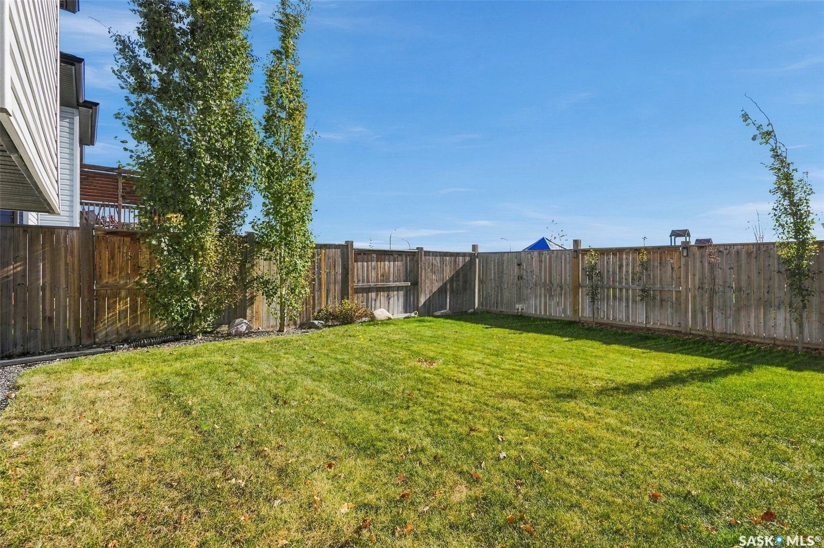 Expansive grass lawn with a full wood privacy fence and mature trees