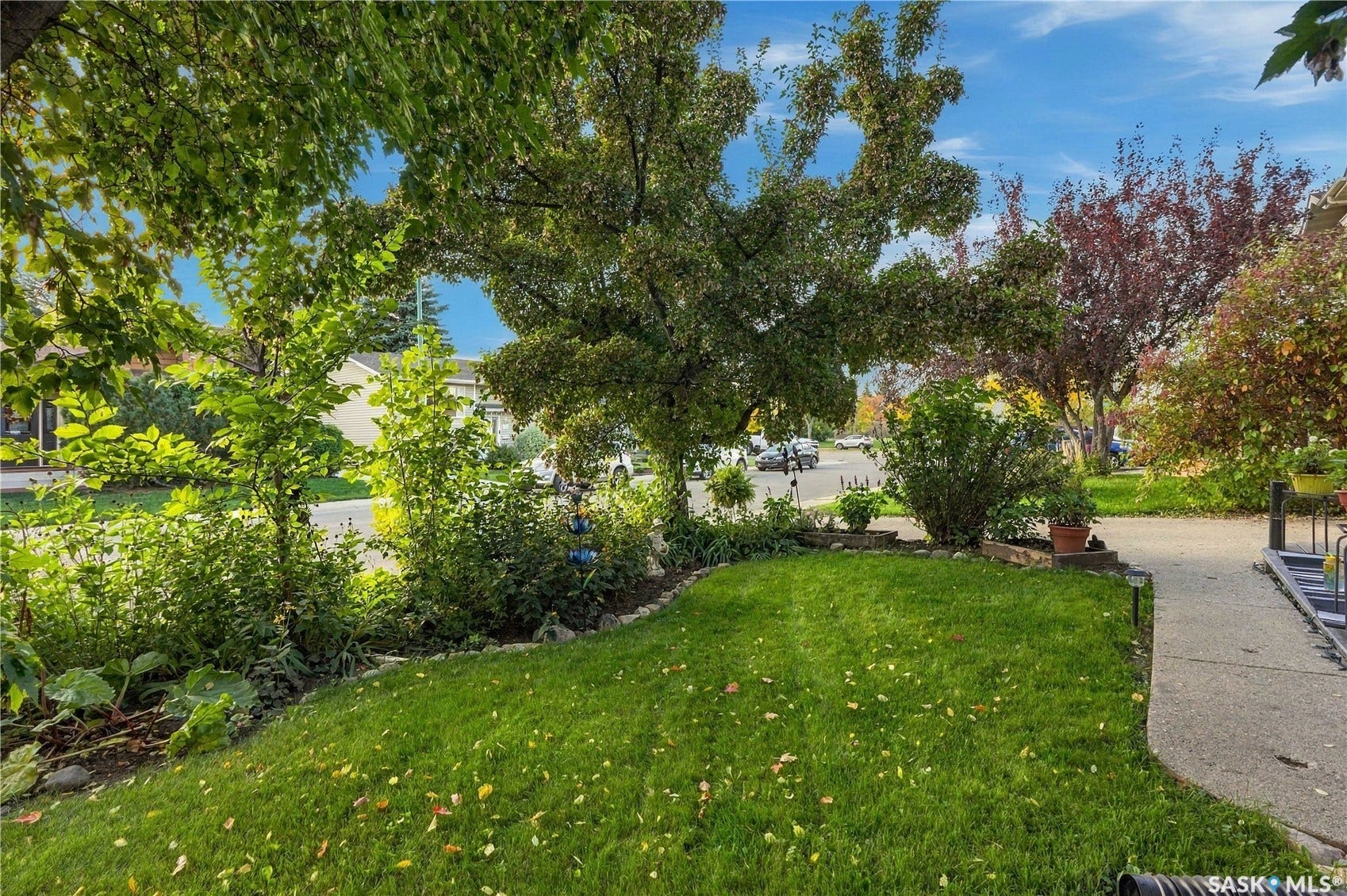 Front yard