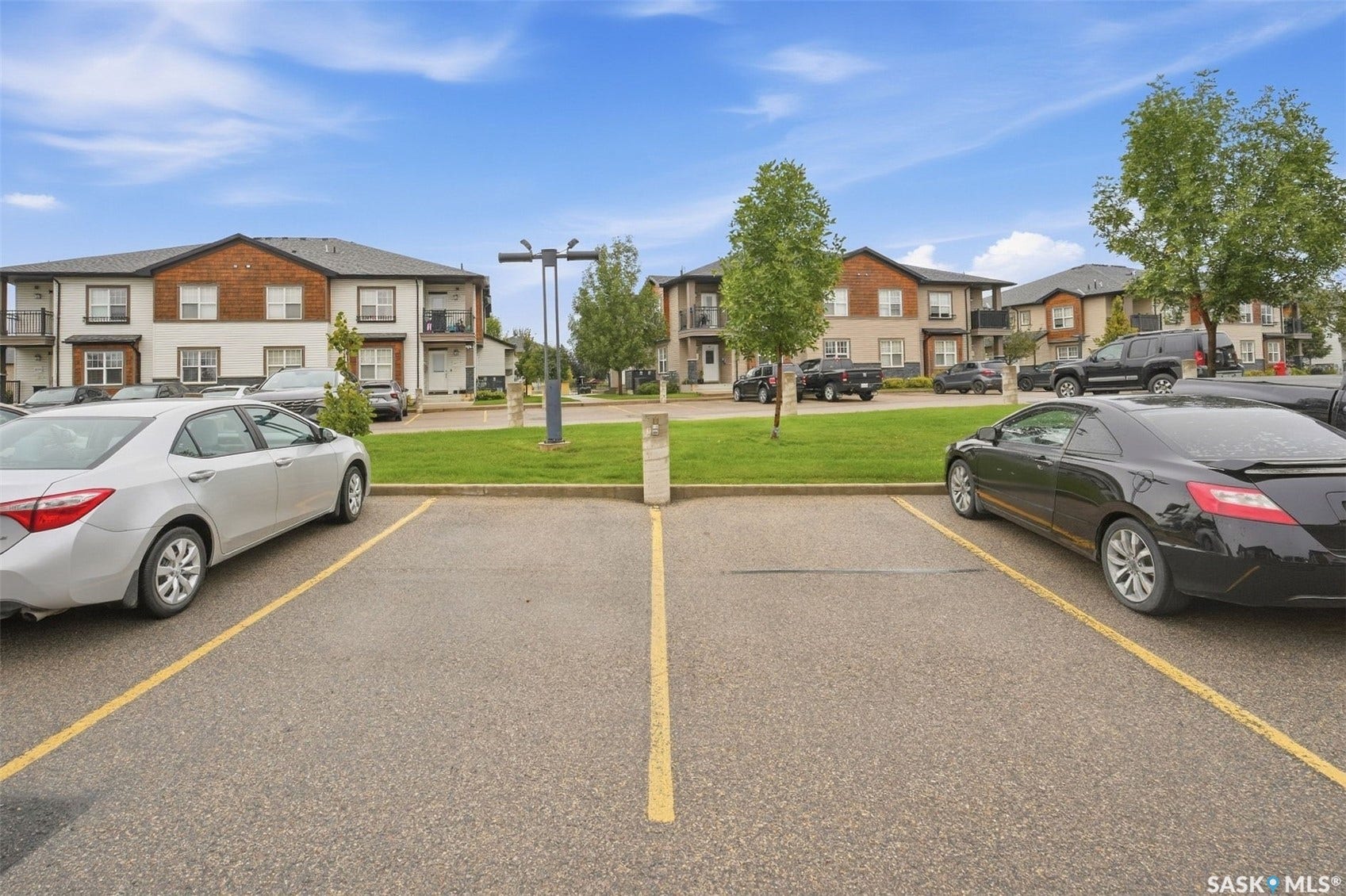 Paved parking area with painted space markers and perimeter landscaping