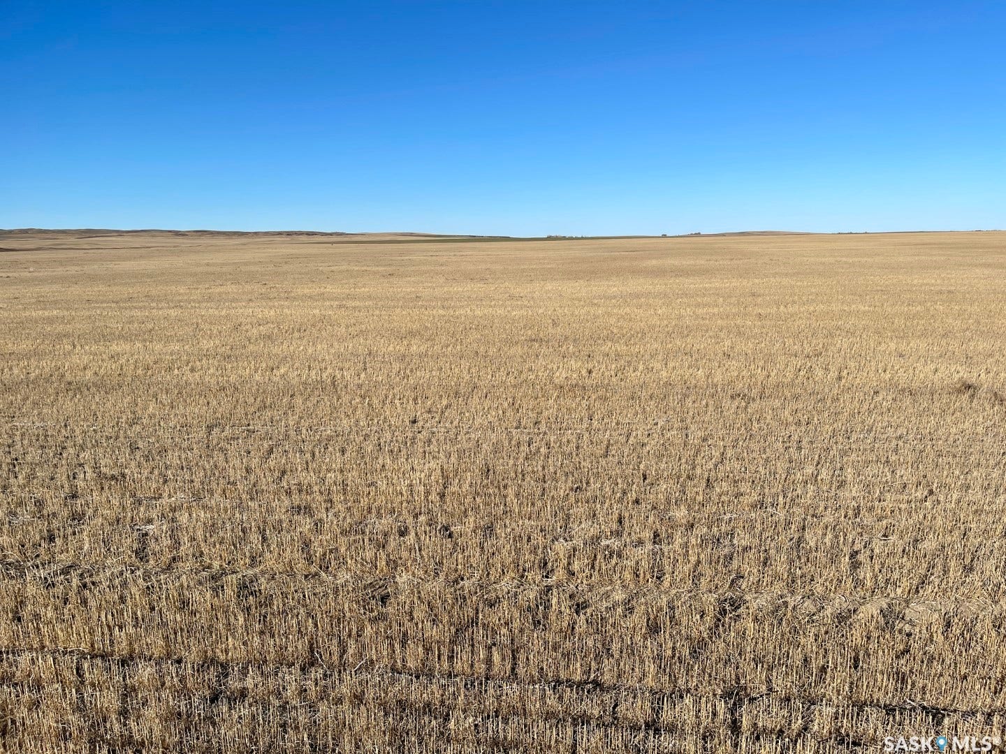 Rural Address, Perdue Rm No SK S0K 3C0