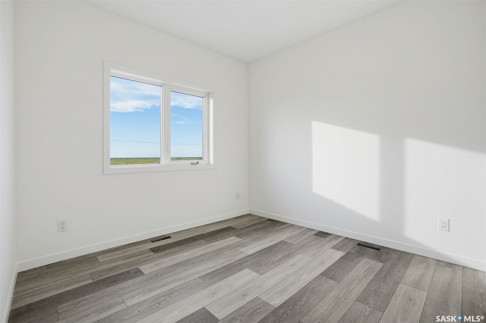 White painted walls, white trim, and wood-finish flooring