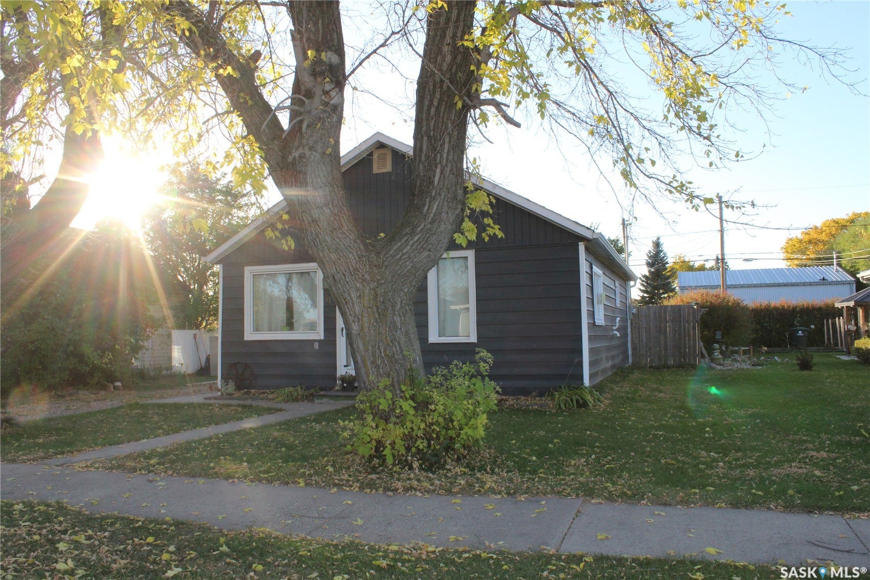 513 2nd Street W, Wilkie SK S0K 4W0 Dark gray siding exterior with white window trim and a mature front yard tree