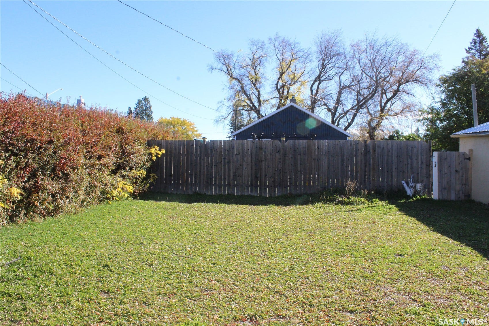 513 2nd Street W, Wilkie SK S0K 4W0 Expansive backyard featuring a privacy fence, established shrubbery, and a grassy lawn