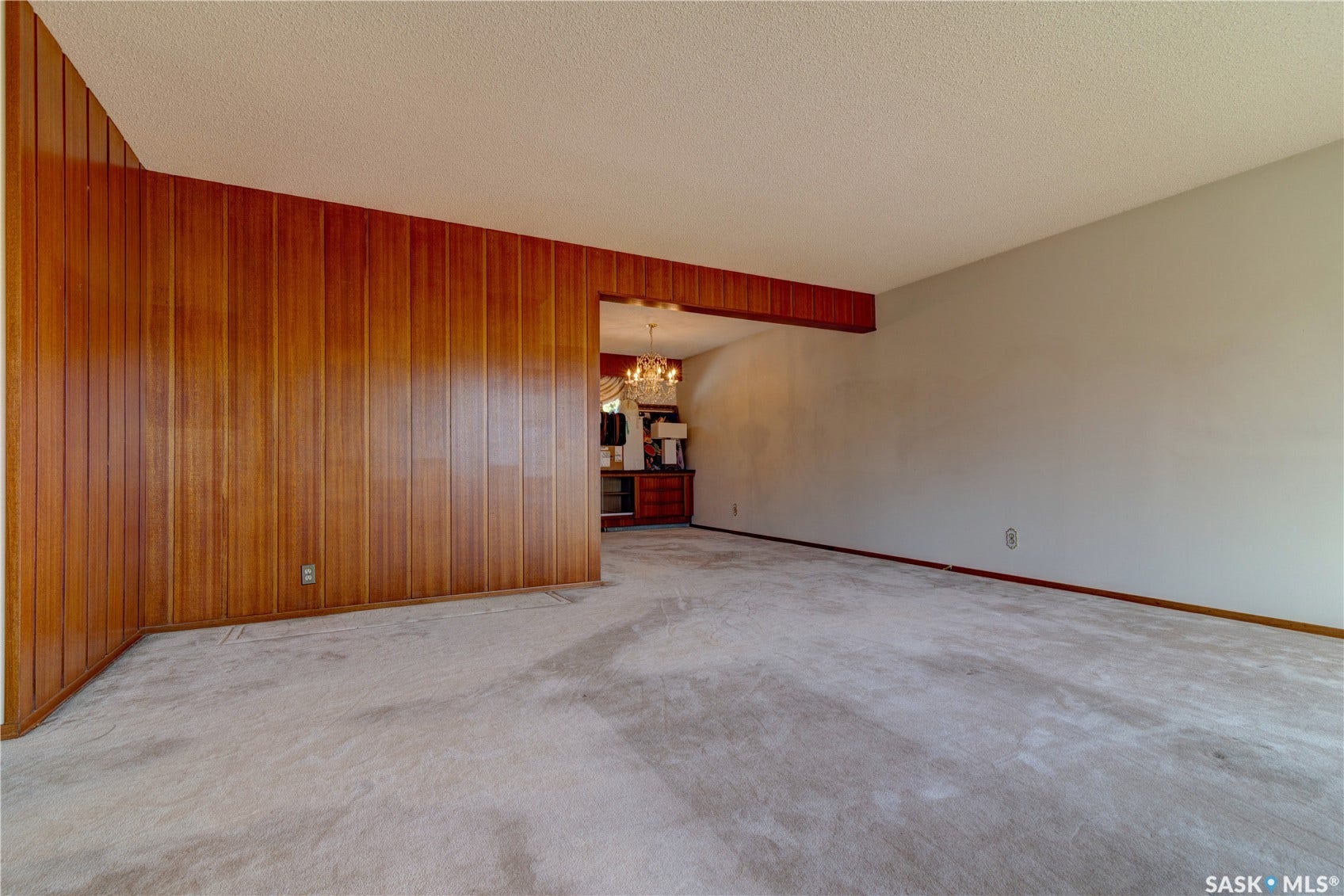 Wood paneling accent wall, light-toned carpeting, and a cased opening