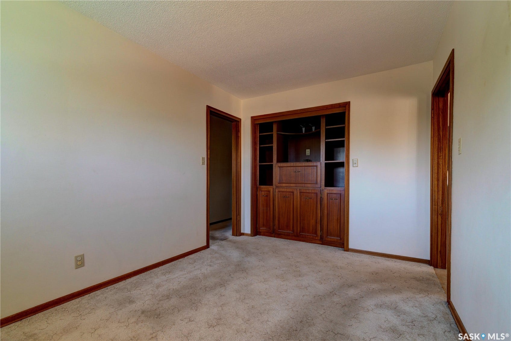 Built-in wood cabinetry with shelving and storage, wood door frames, and light-toned carpeting