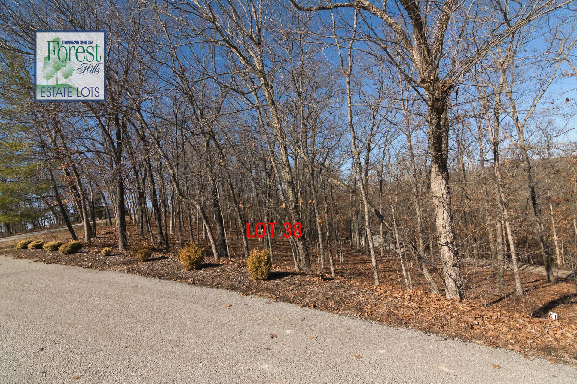 Lot 38 Waterfield Drive, Branson West, MO 65737 3 38 LakeForestHillsLots35-38BransonWest