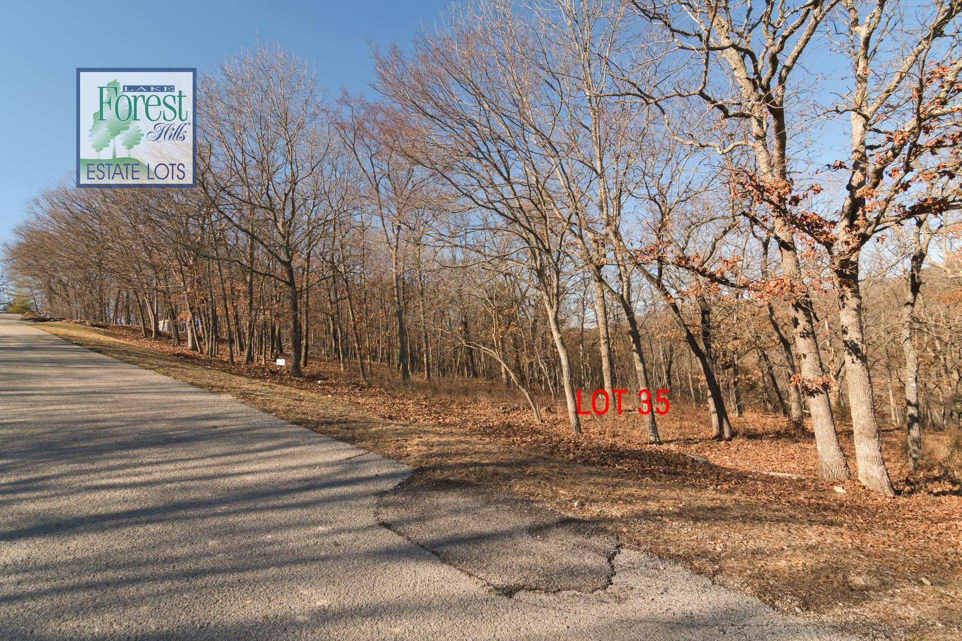 Lots 35&36 Canada Drive, Branson West, MO 65737 3 35 LakeForestHillsLots35-38BransonWest