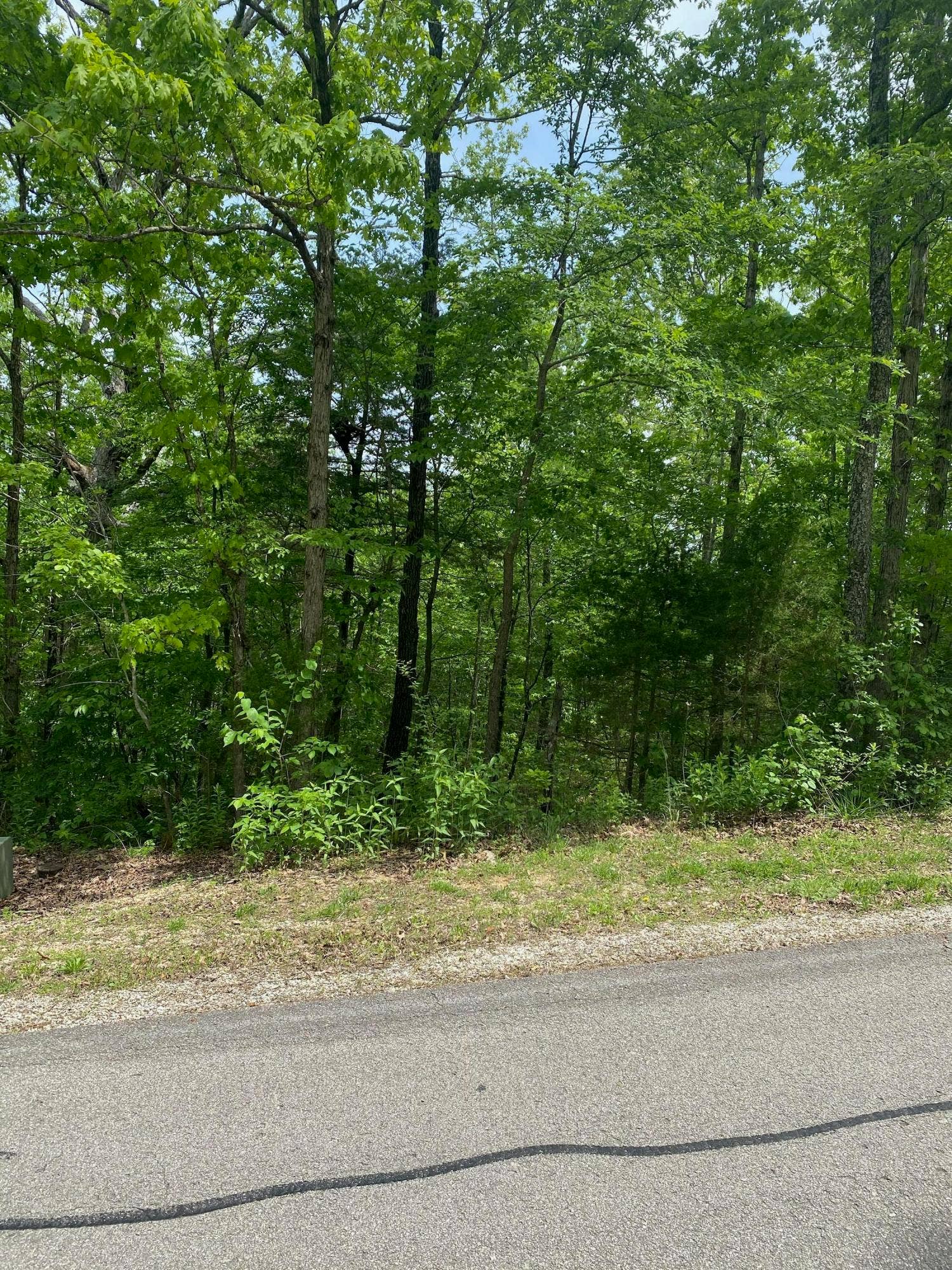 0 Silver Cliff Way, Branson West, MO 65737 IMG_6092