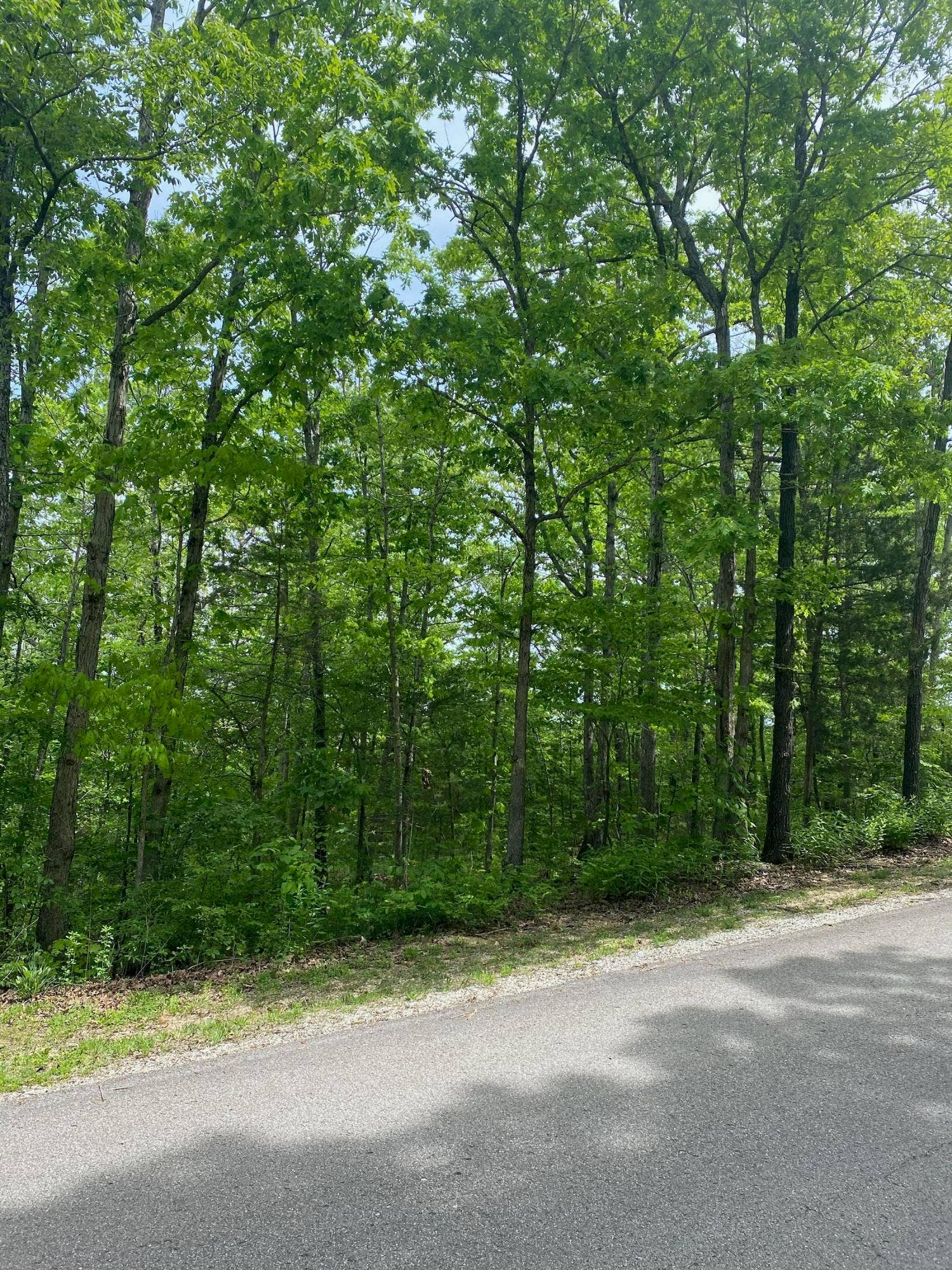 0 Silver Cliff Way, Branson West, MO 65737 IMG_6091