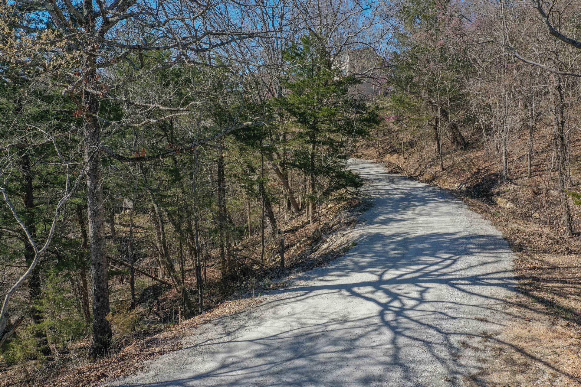 Lot 37-39 Cardinal Cove Lane, Kimberling City, MO 65686 DJI_0583