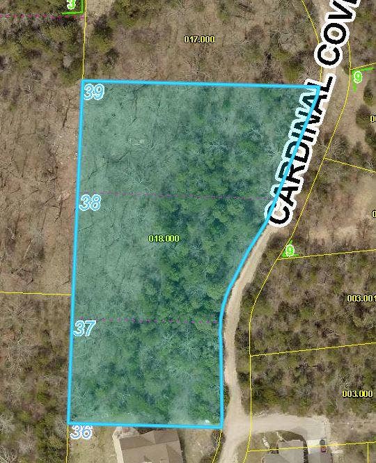 Lot 37-39 Cardinal Cove Lane, Kimberling City, MO 65686 Stonebridge lot aerials