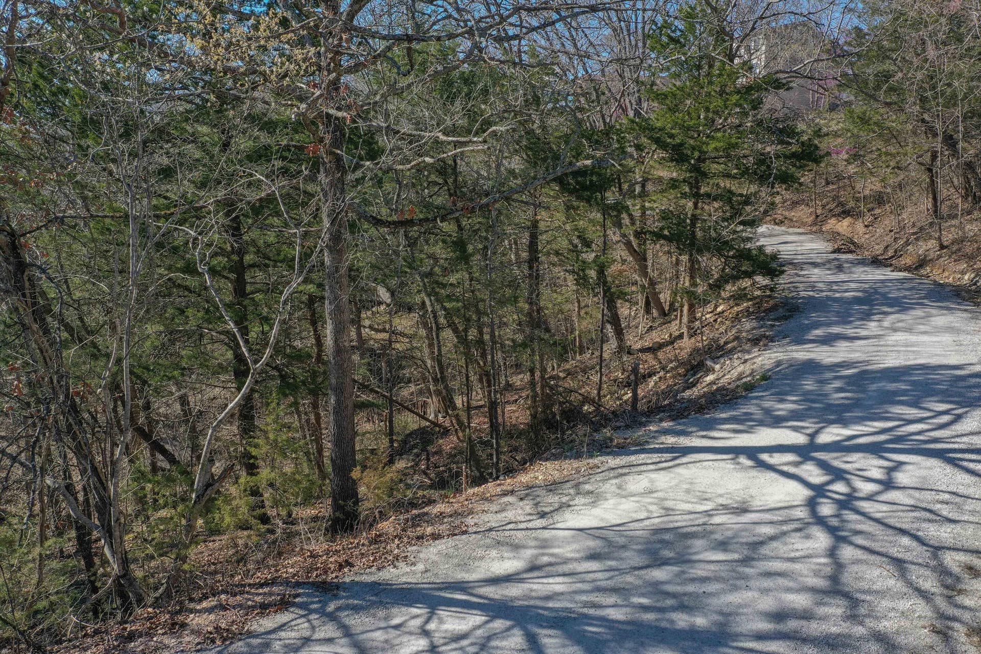 Lot 37-39 Cardinal Cove Lane, Kimberling City, MO 65686 DJI_0582